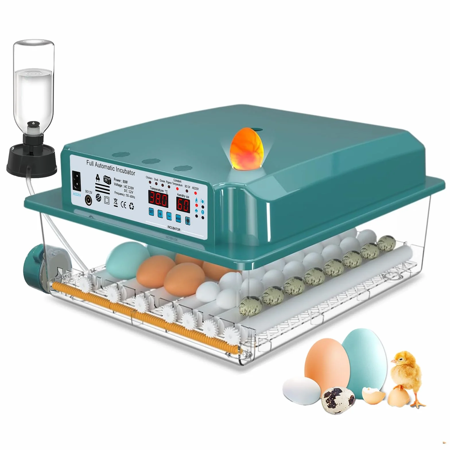 CoInceptus Incubatrice per Uova Automatica, Incubatrice per 24-36 Uova con Rotazione Automatica delle Uova e Aggiunta Automatica dell'acqua, Incubatrice con 4 Modalità di Incubazione Automatiche