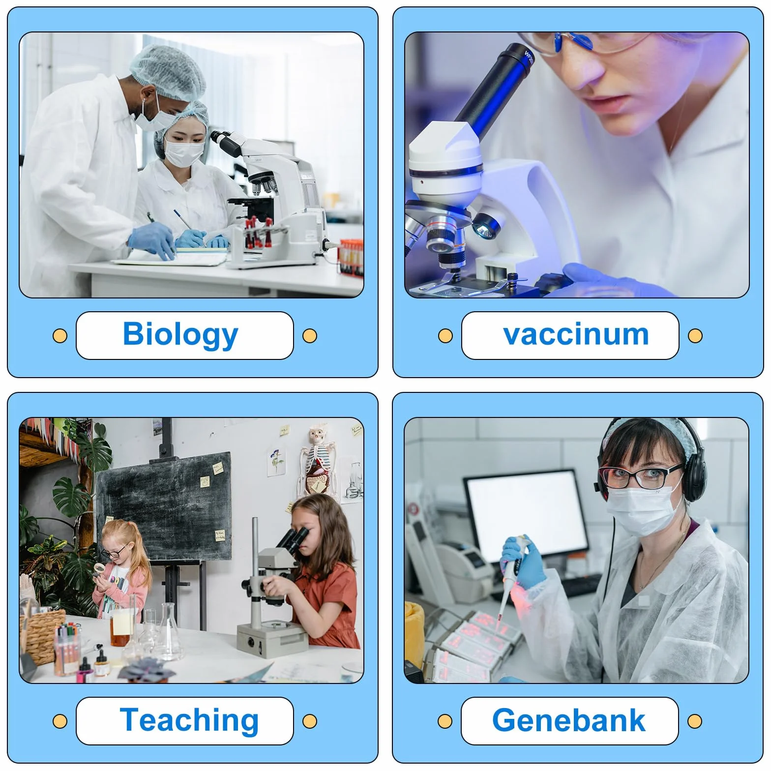 Provette per Criogenia 2ml Plastica Tubi Criogenici Graduati con Coperchio Laboratorio
