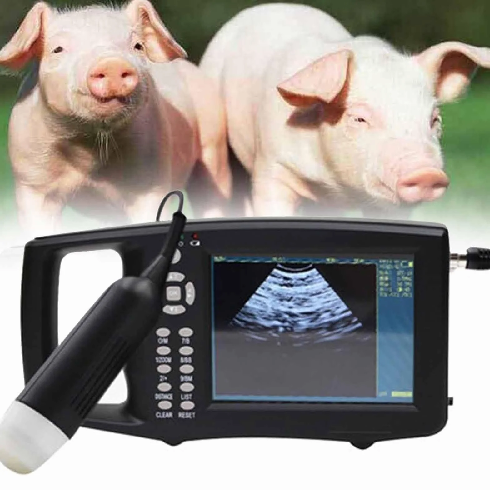 Macchina Ecografica Veterinaria Scanner Portatile Veterinario B-Ultra Sound Macchina per Test Gravidanza HD Portatile Display LED 5,6" con Sonda 3,5 MHz per Gravidanza Maiale,Pecora