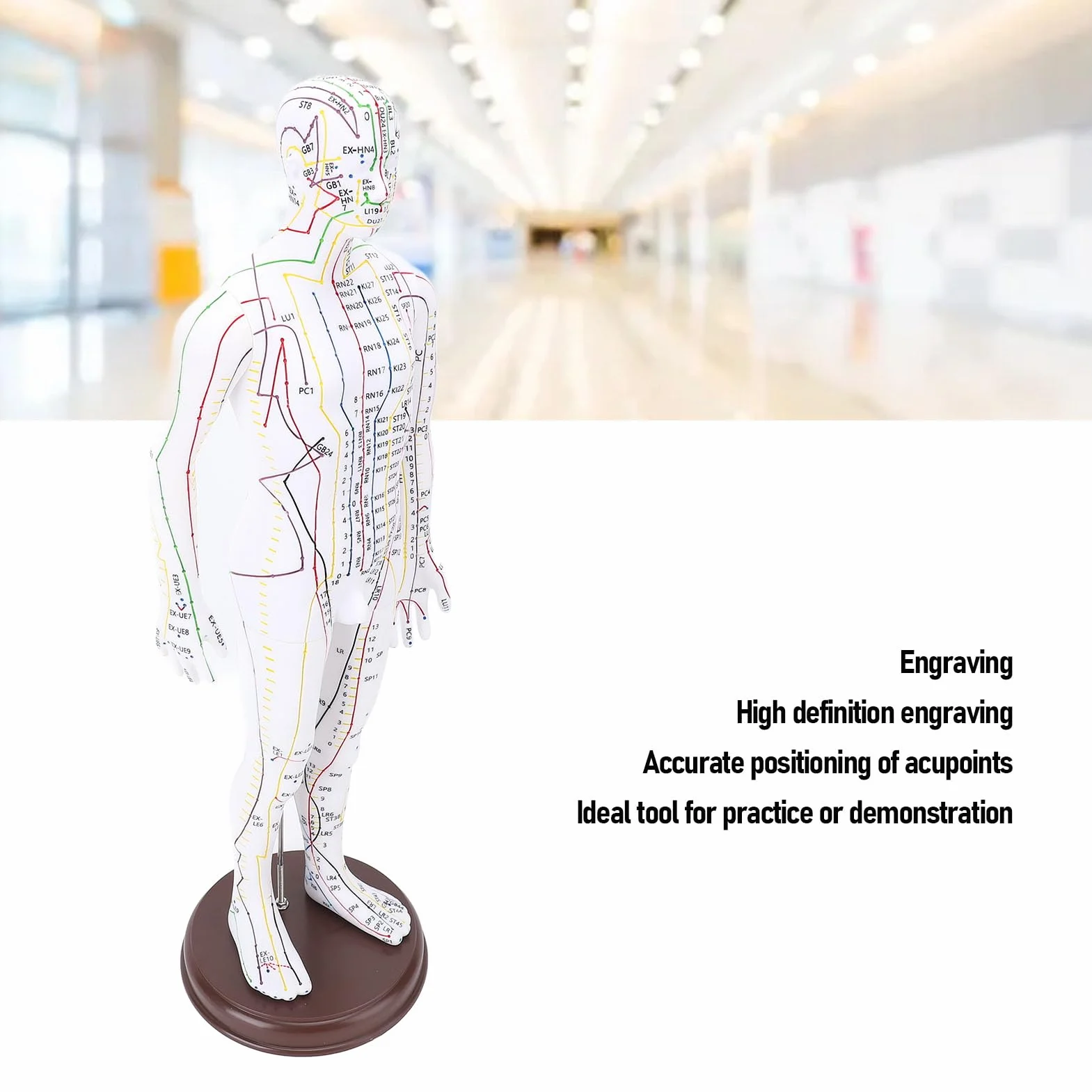 Modello per Agopuntura, Bambola per Agopuntura Professionale per Corpo Umano in PVC 20,47 Pollici con Base per Dimostrazione Didattica, Incisione Ad Alta Definizione (Maschio)