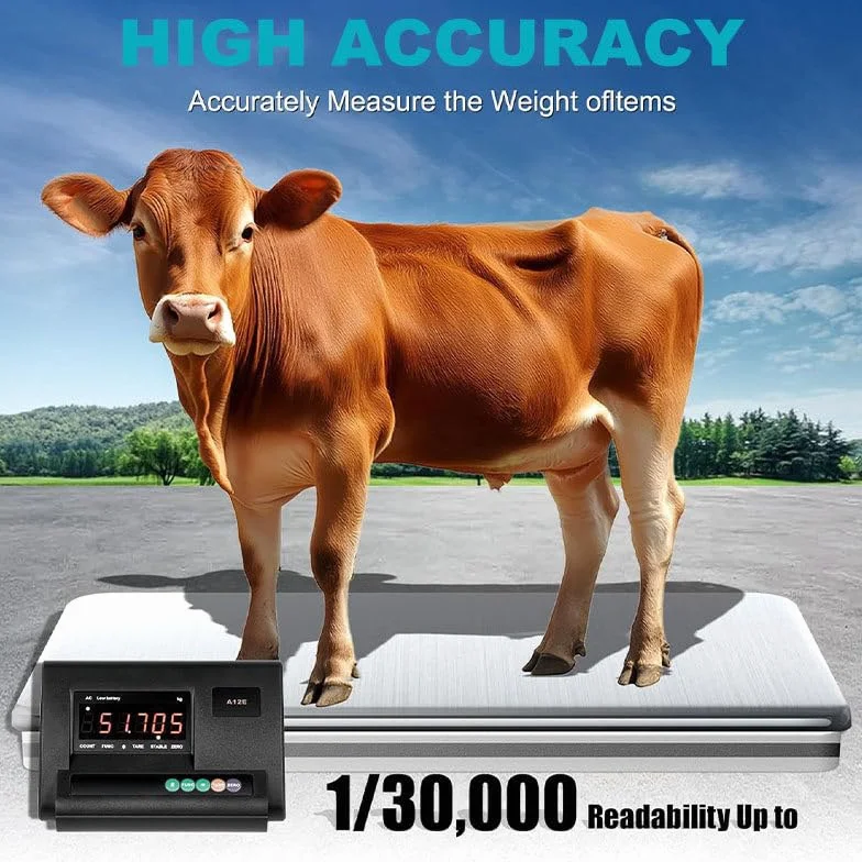Set di bilance per Bestiame, Display ad Alta precisione, Bilancia con cella di carico, Set di bilance elettroniche per Bestiame con Scatola di Giunzione, bovini, suini, capre, Pecore
