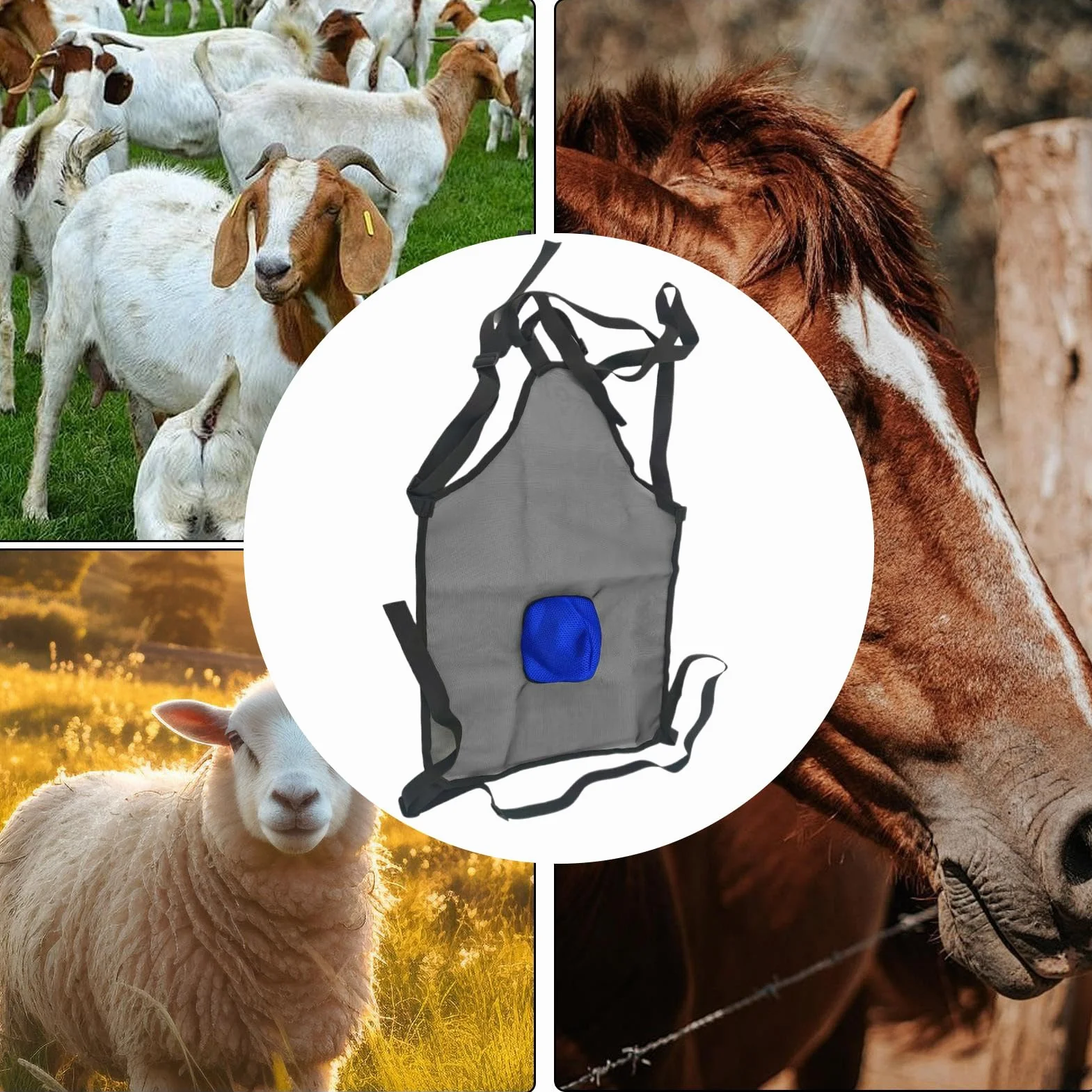 Generico Grembiule Per Capre | Grembiule Anti Riproduzione Per Capre,Attrezzatura Agricola, Strumento Per Evitare La Riproduzione Di Animali Da Compagnia Bovini Bestiame