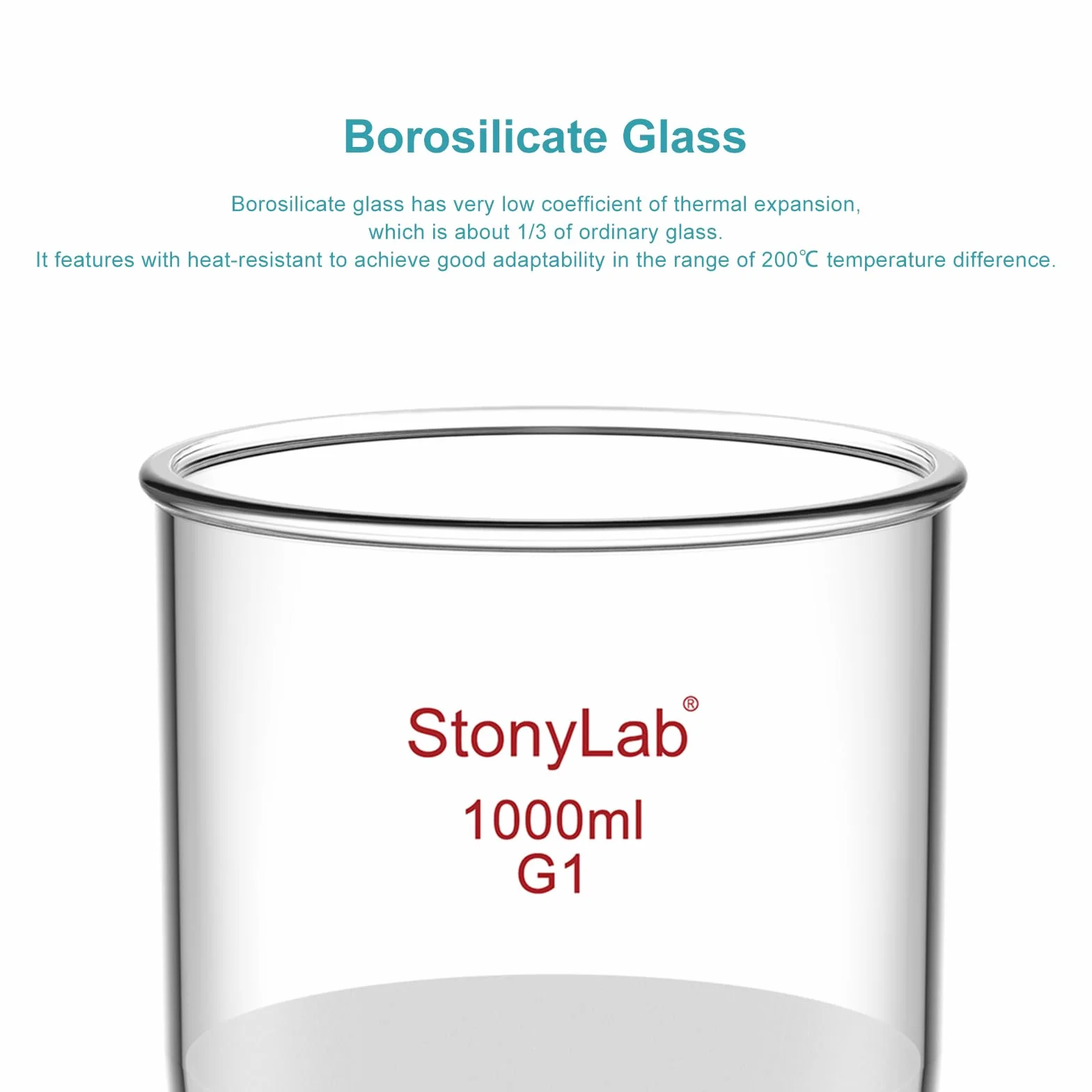 StonyLab Vetro Borosilicato Imbuto Filtrante Buchner con Fritta Grossolana (G1), Buchner Funnel con Diametro Interno 113mm, Profondità 110 mm, con Giunto 24/40 e Tubazione Dentata sotto Vuoto, 1000ml