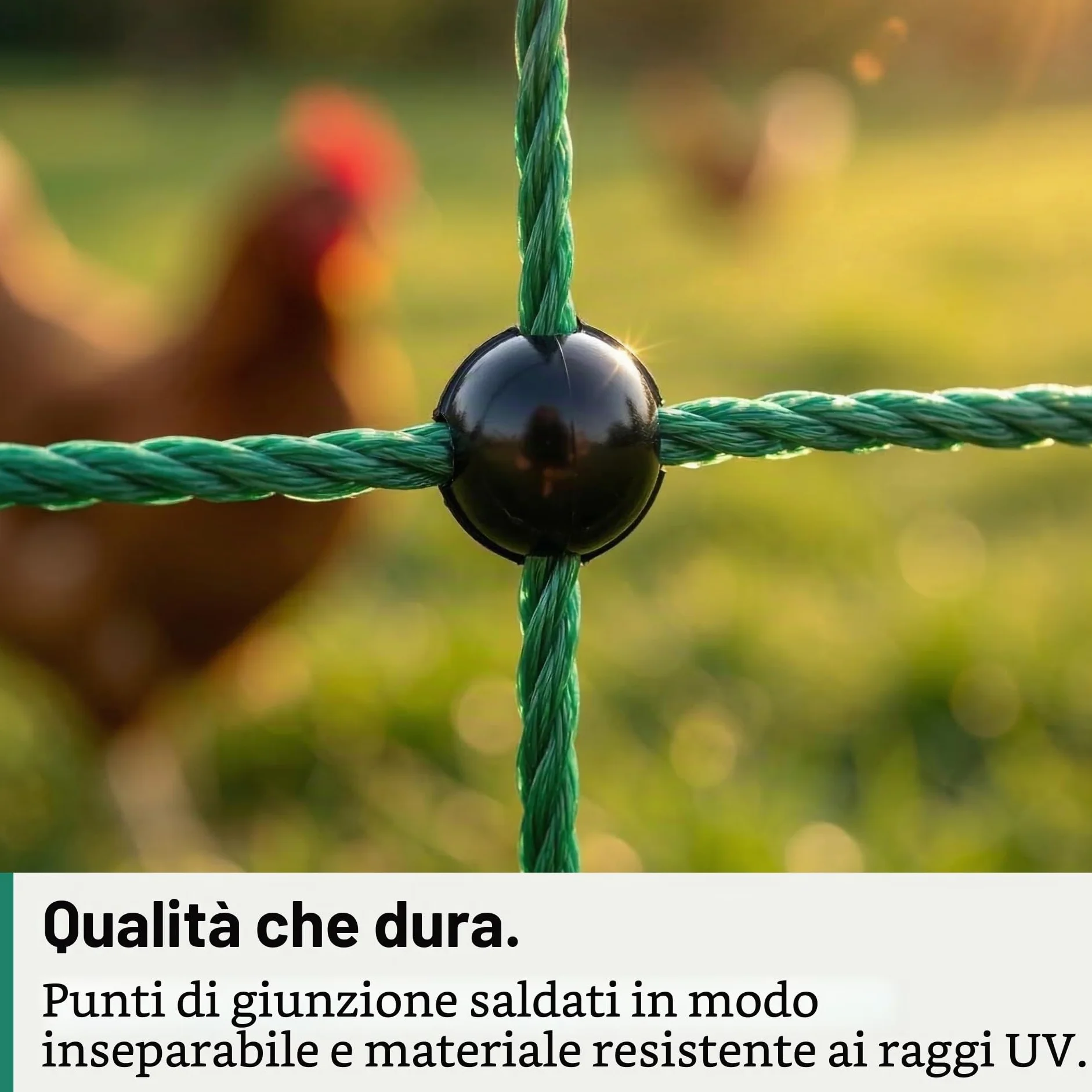 Agrarzone Rete per pollame Classic elettrificabile, Doppia Punta, Verde 50 m x 112 cm - Robusta per polli, Cani e Gatti - Facile da installare con 15 Pali e Kit di Riparazione