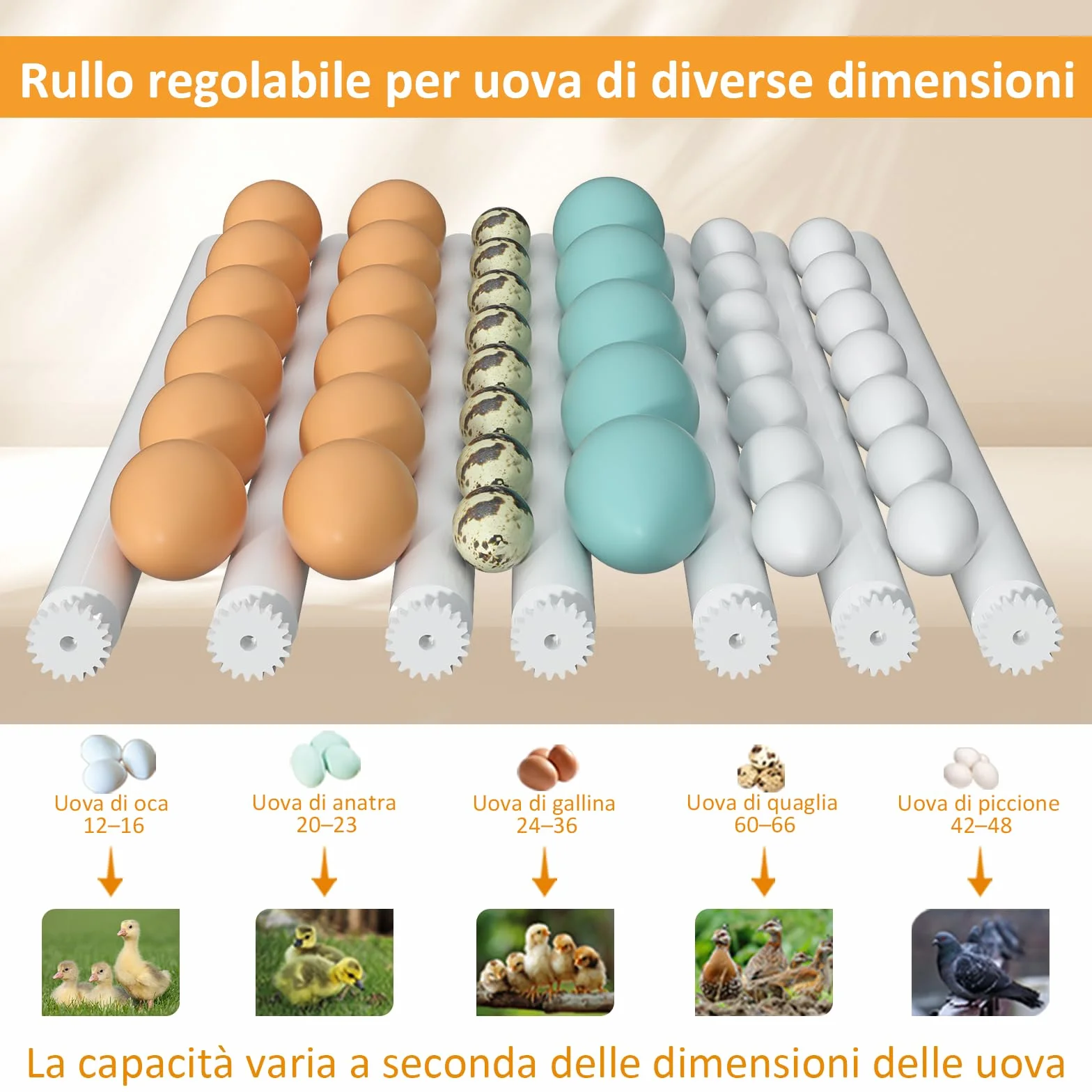 Incubatrice per Uova Automatica, Incubatrice per 36 Uova Gallina con Controllo Temperatura, 5 Modalità di Incubazione Automatica, Display Umidità, Riempimento Automatico dell'acqua e Girando