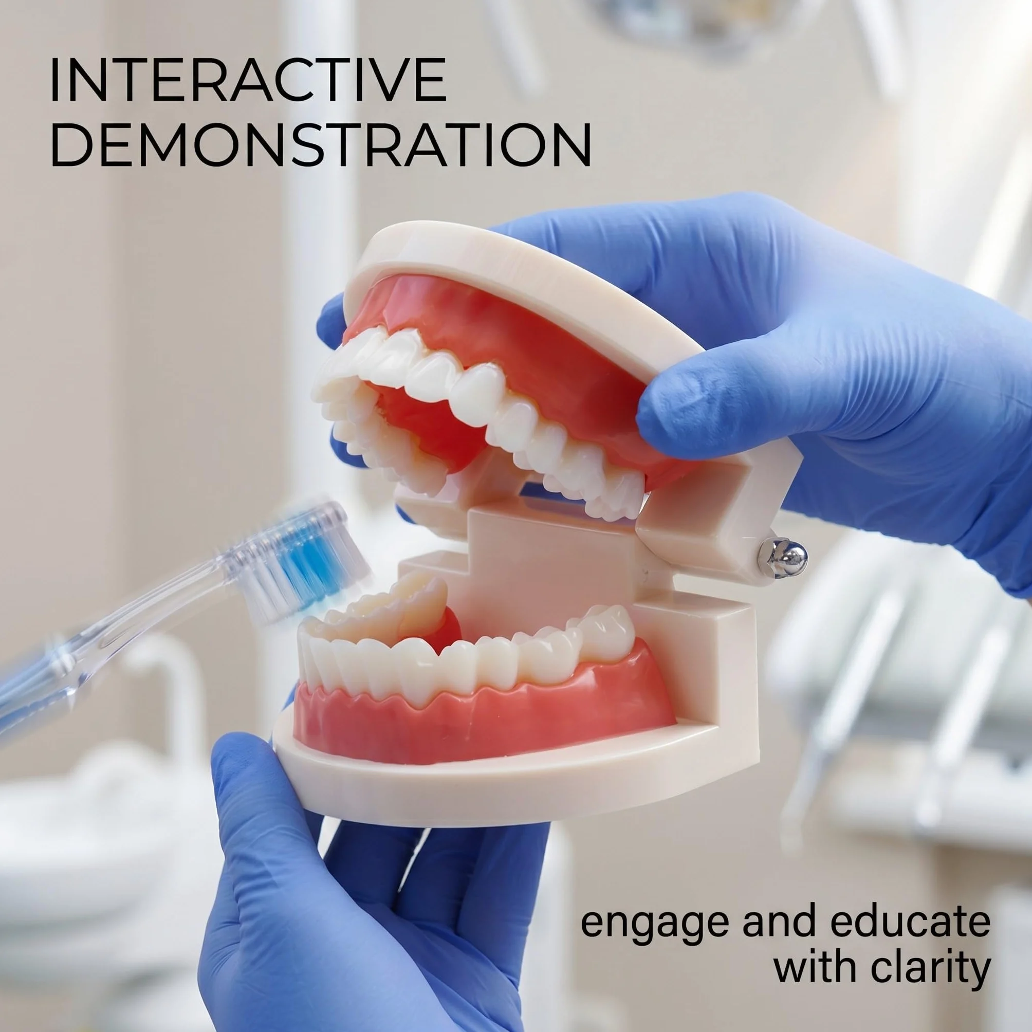 1 Pezzi Modello Di Denti Dentali Typodont, Materiale In Pvc Denti Di Ricambio Per Studi Dentistici, Studenti Di Odontoiatria