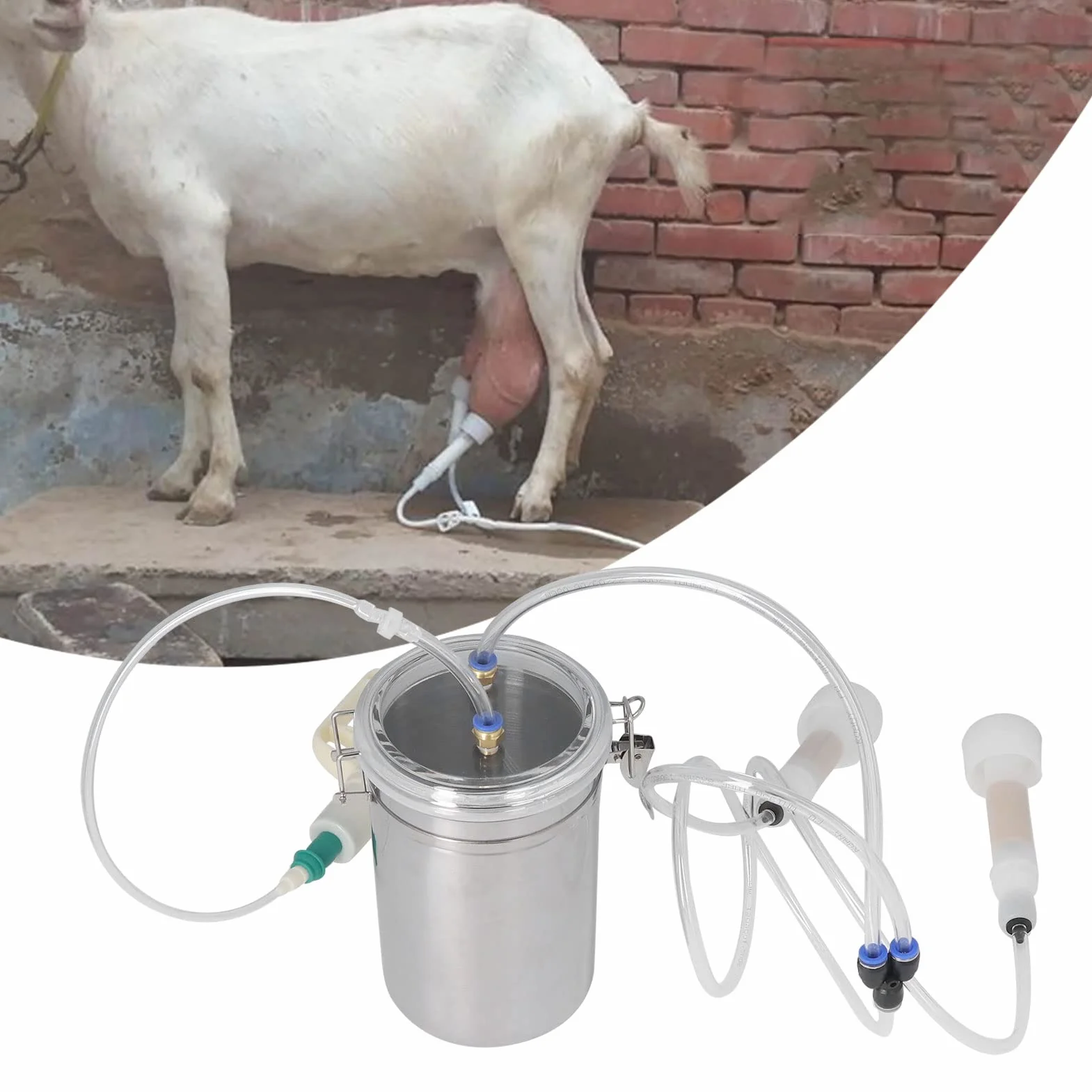 Mungitrice Per Mucca Di Capra, Mungitrice Manuale Da 2 Litri, Mungitrice Portatile Per Capra Domestica Kit Per Mungitrice Per Mucca Di Pecora, Set Di Mungitura Portatile Per Bottiglia In Acciai