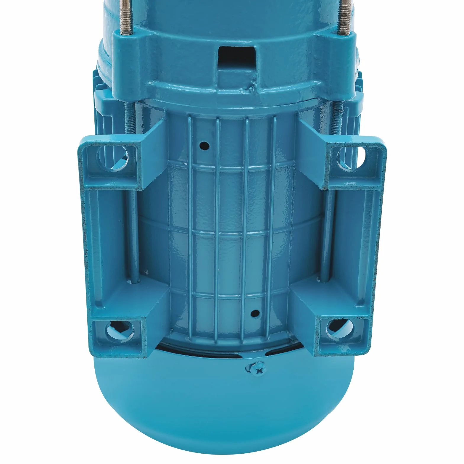 Pompa rotativa da 1300 W, pompa rotativa in acciaio inossidabile 1,8 HP 220 V per uso domestico e giardino con interruttore a pressione, pompa a getto per fattorie, stagni, giardini, irrigazione