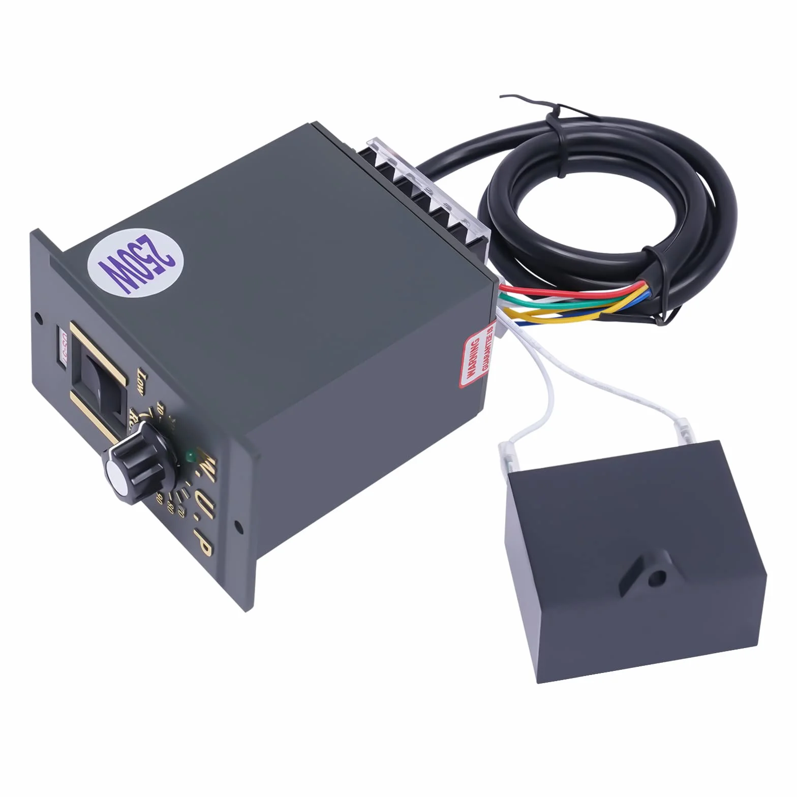 Motore 250 W 220 V con regolatore di velocità 8 Nm
