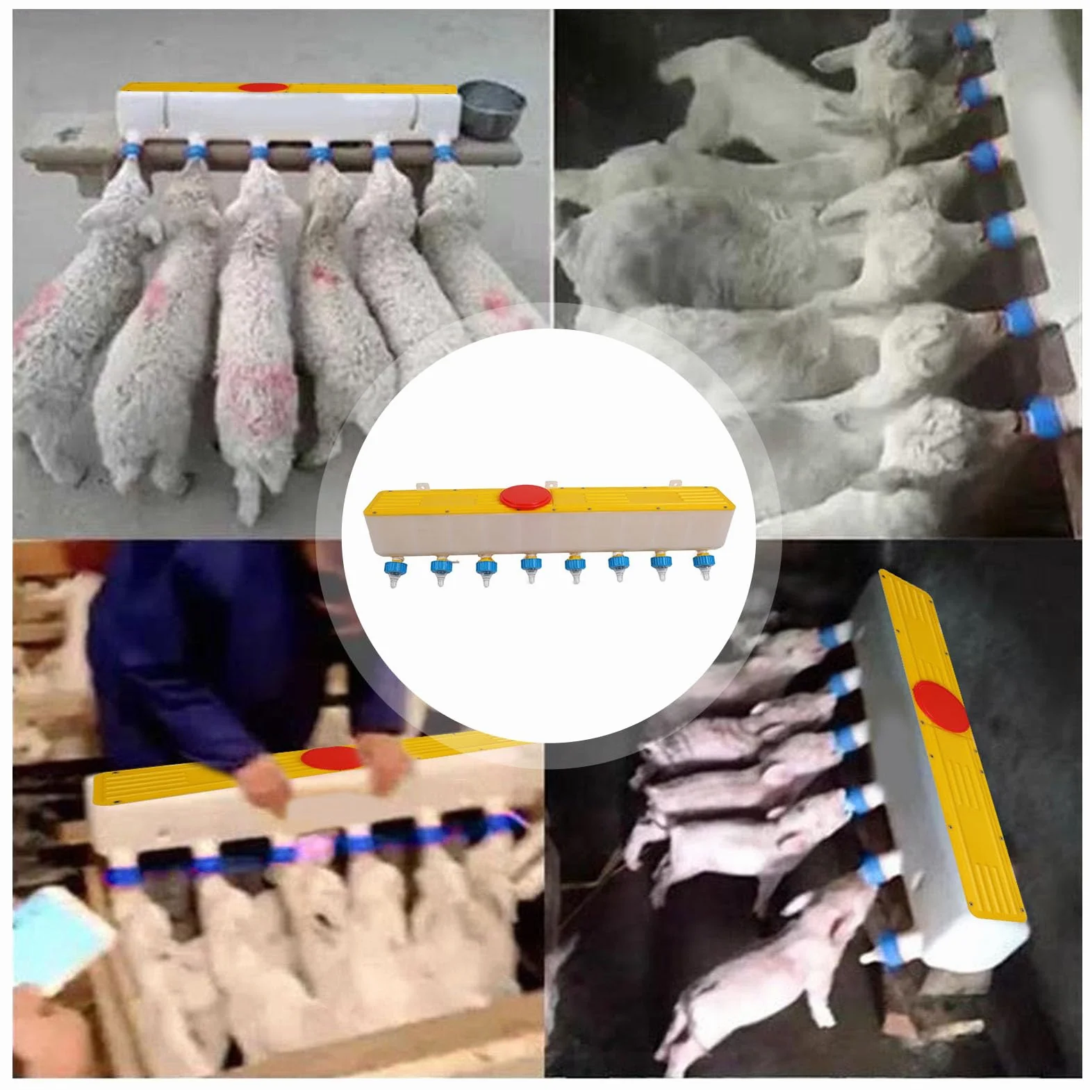 Mangiatoia per Bevande per Agnello in Silicone, Secchio per Alimentazione del Latte per Bestiame da 10 Litri Montato a Parete con 8 Capezzoli, Ideale per Allattare Agnello Animale