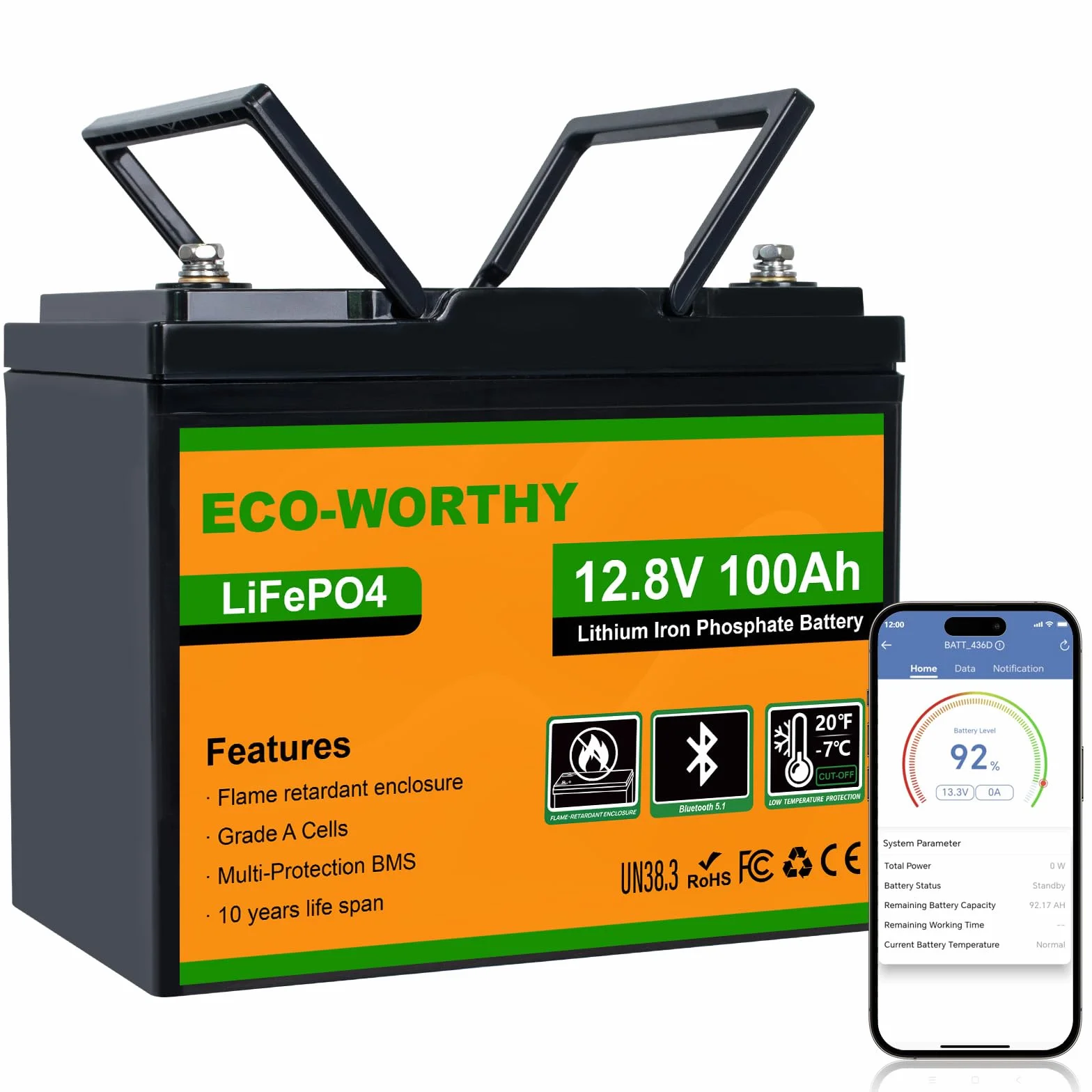 ECO-WORTHY LiFePO4 100 Ah Bluetooth, batteria al litio 12 V 100 Ah con protezione BMS a bassa temperatura e max. 15000 cicli, batteria da 1280 Wh per camper, barca, pannello solare