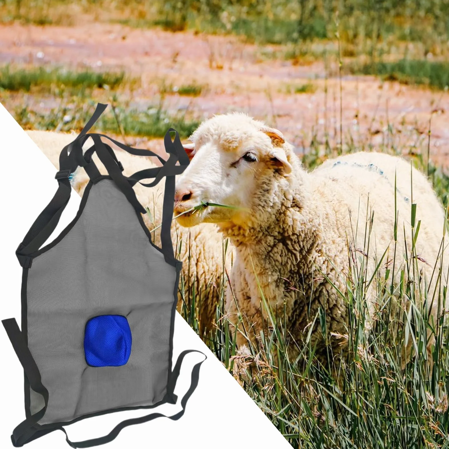 Generico Grembiule Per Capre | Grembiule Anti Riproduzione Per Capre,Attrezzatura Agricola, Strumento Per Evitare La Riproduzione Di Animali Da Compagnia Bovini Bestiame