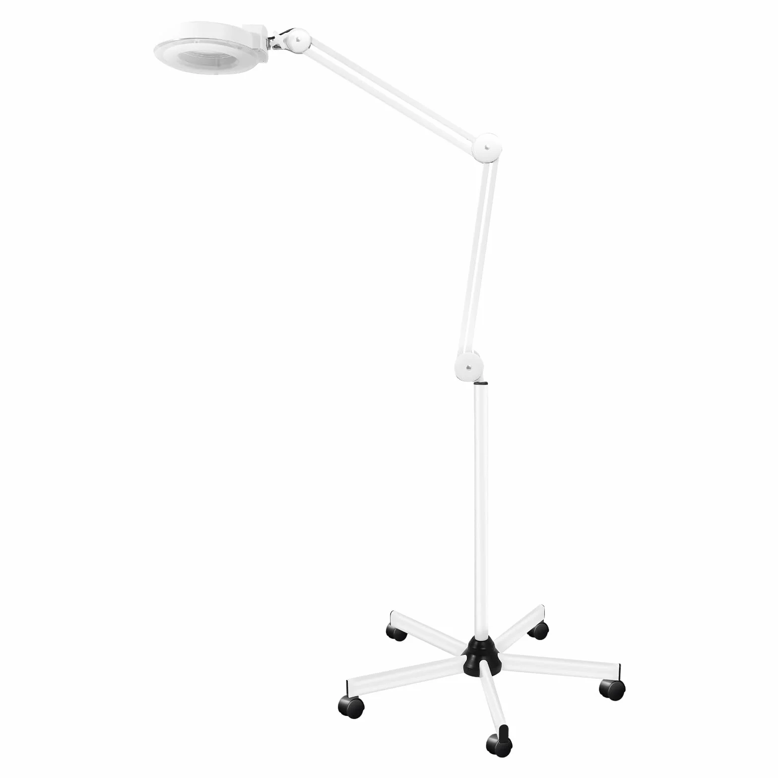 Lampada a lente d'ingrandimento, 5 x 5 piedi, 220 V, 24 W, tubo fluorescente ad anello, antiruggine, con ruota girevole a 360°, utilizzabile per studio, dentale, unghie, ciglia, tatuaggio
