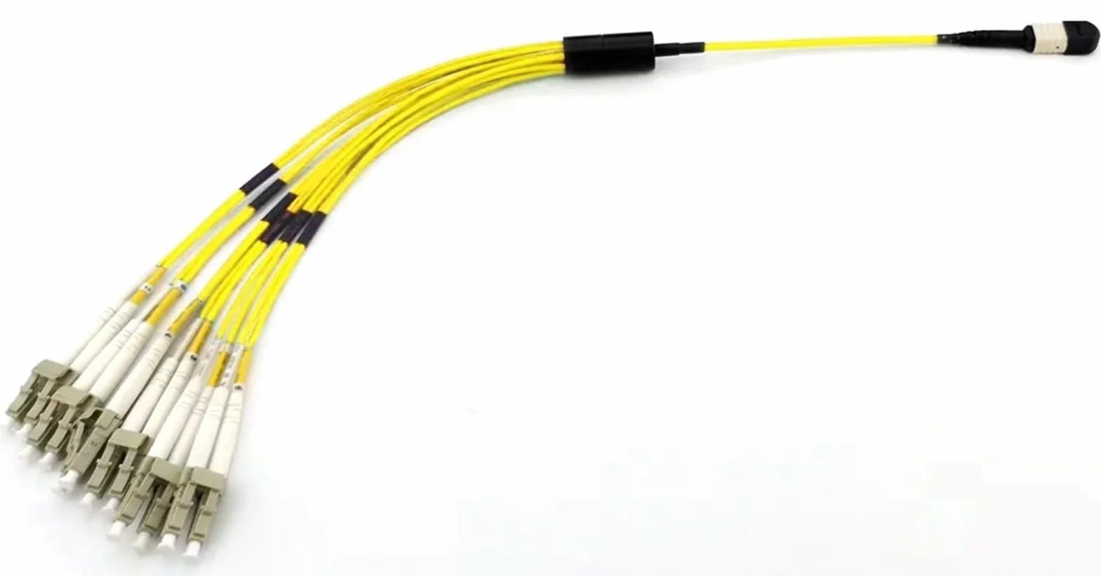 12 Core 1 Meter Jumper cavo in fibra ottica (SM entro 0.7dB)