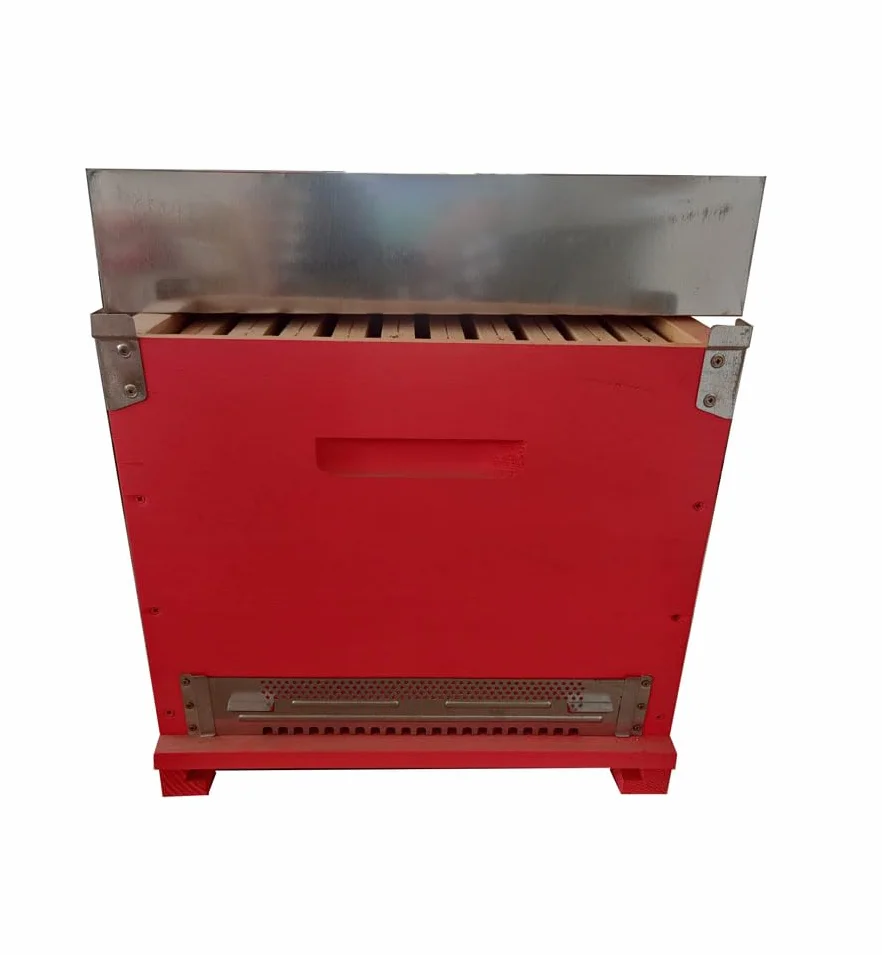 Arnia Completa per Api - Arnia Cubo (Box) 10 favi Completa di telaini - Apicoltura - Arnia per Api