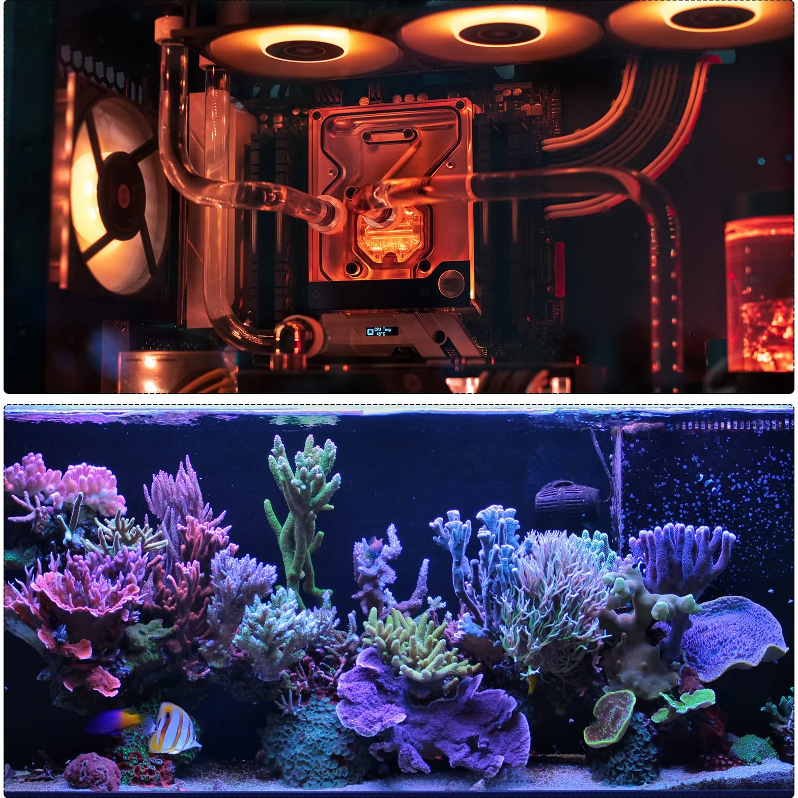 DMiotech 2pz 13mm x 15mm 12" Tubo Acrilico Trasparente per Acquario, Idraulica e Illuminazione