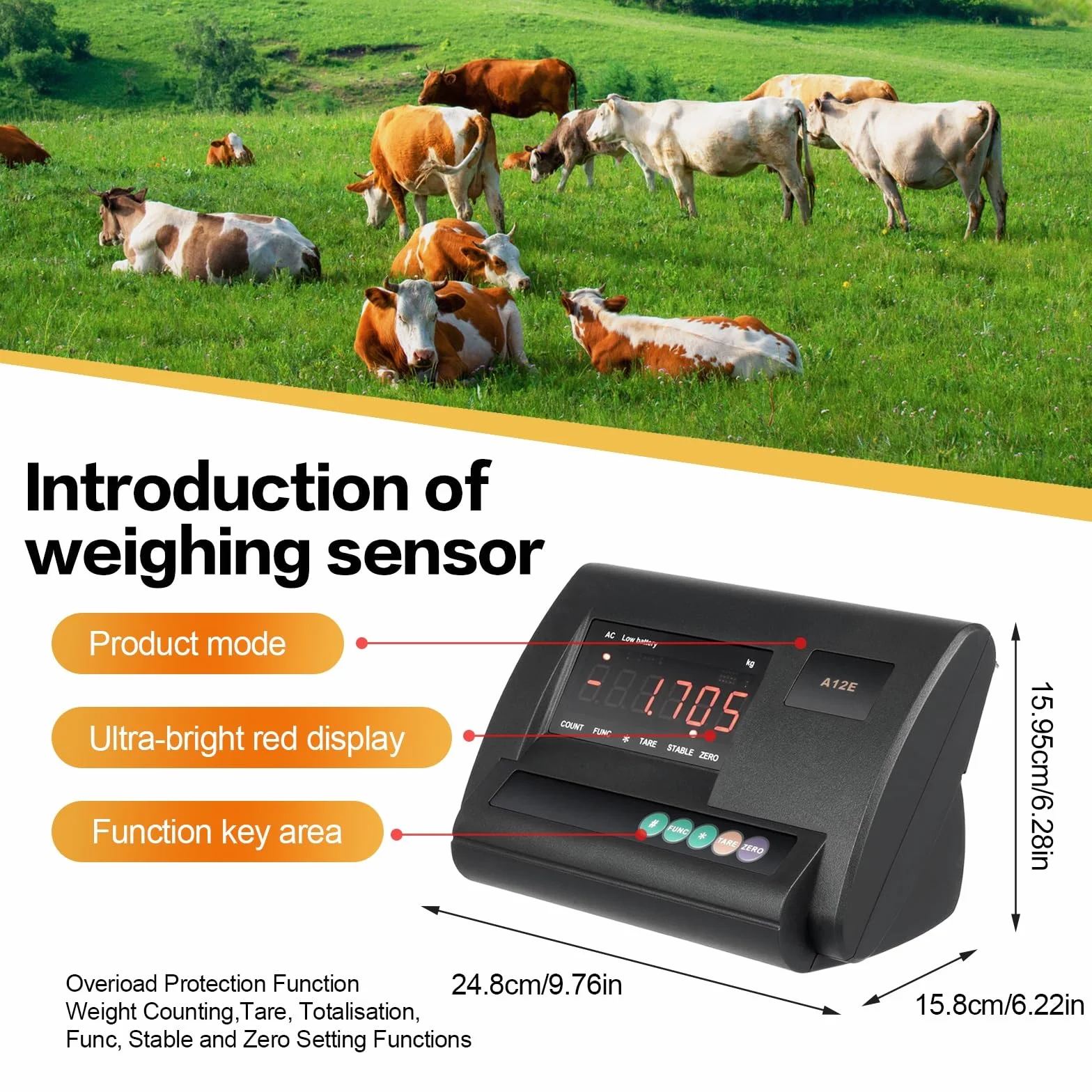 Bilancia Zootecnica Digitale Alta Precisione 11000LBS, 4 Celle di Carico, LED Display, Scatola Impermeabile Acciaio Inox per Bovini Suini Ovini