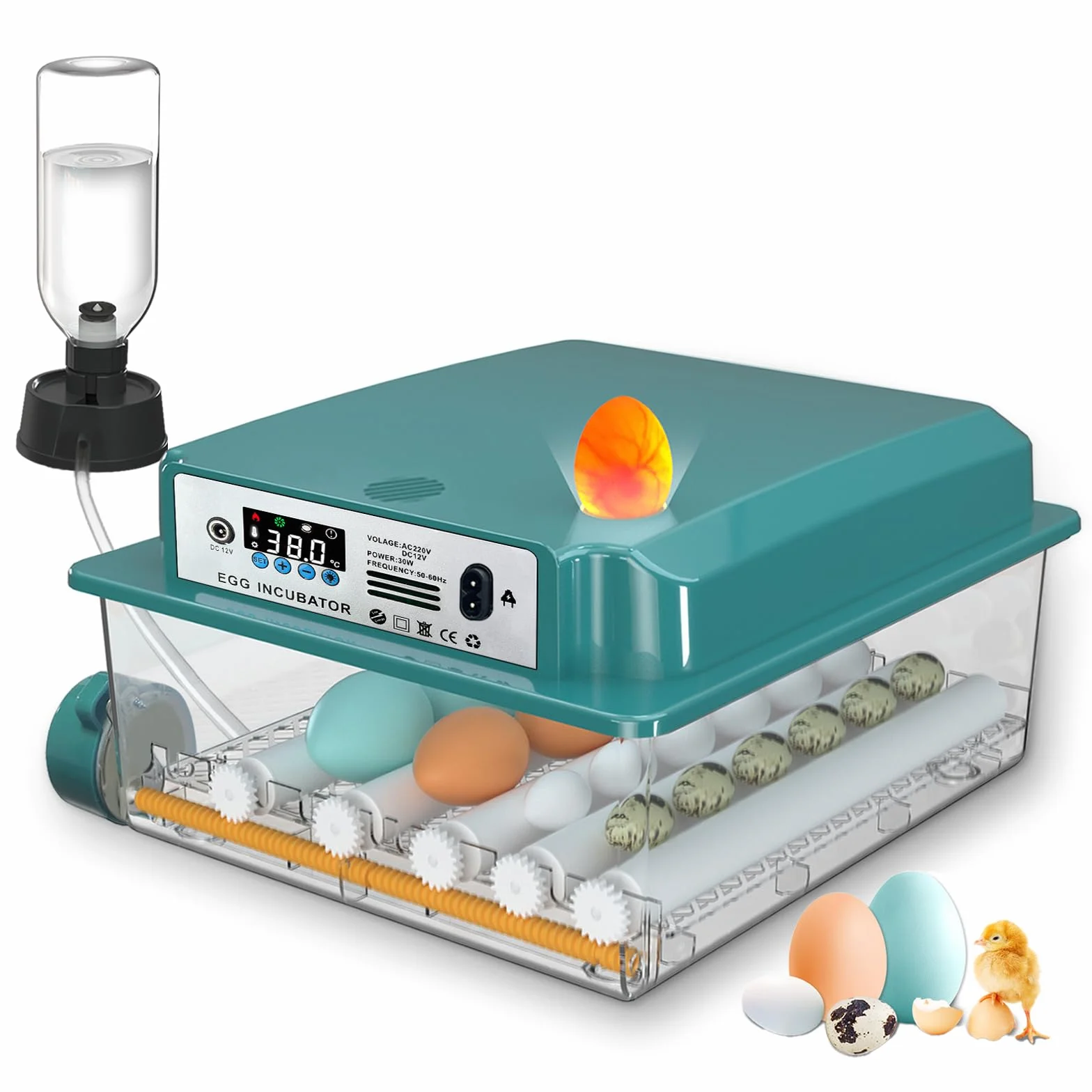 CoInceptus Incubatrice per Uova Automatica, Incubatrice per 12-16 Uova con Rotazione Automatica delle Uova e Aggiunta Automatica dell'acqua, Incubatrice per Uova di Gallina, Quaglia, Anatra