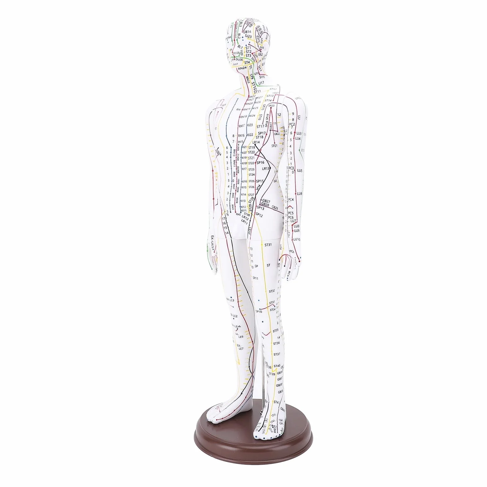 Modello per Agopuntura, Bambola per Agopuntura Professionale per Corpo Umano in PVC 20,47 Pollici con Base per Dimostrazione Didattica, Incisione Ad Alta Definizione (Maschio)