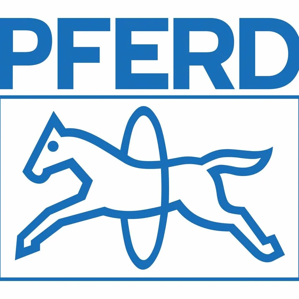 PFERD Mola a disco carburo di silicio 150x20x32 mm granulometria 60 con bussole di riduzione 25/20/16 mm
