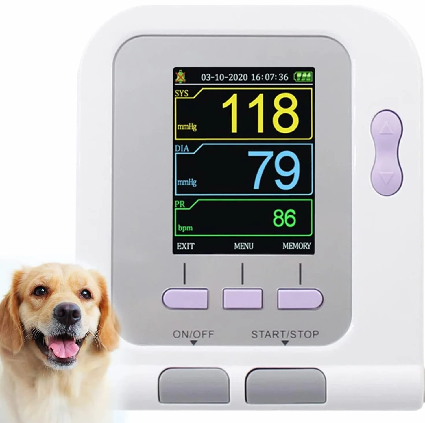 Misuratore di pressione arteriosa for uso veterinario for animali, misuratore di pressione sanguigna veterinario con display LCD, macchina automatica for BP for uso animale con bracciale