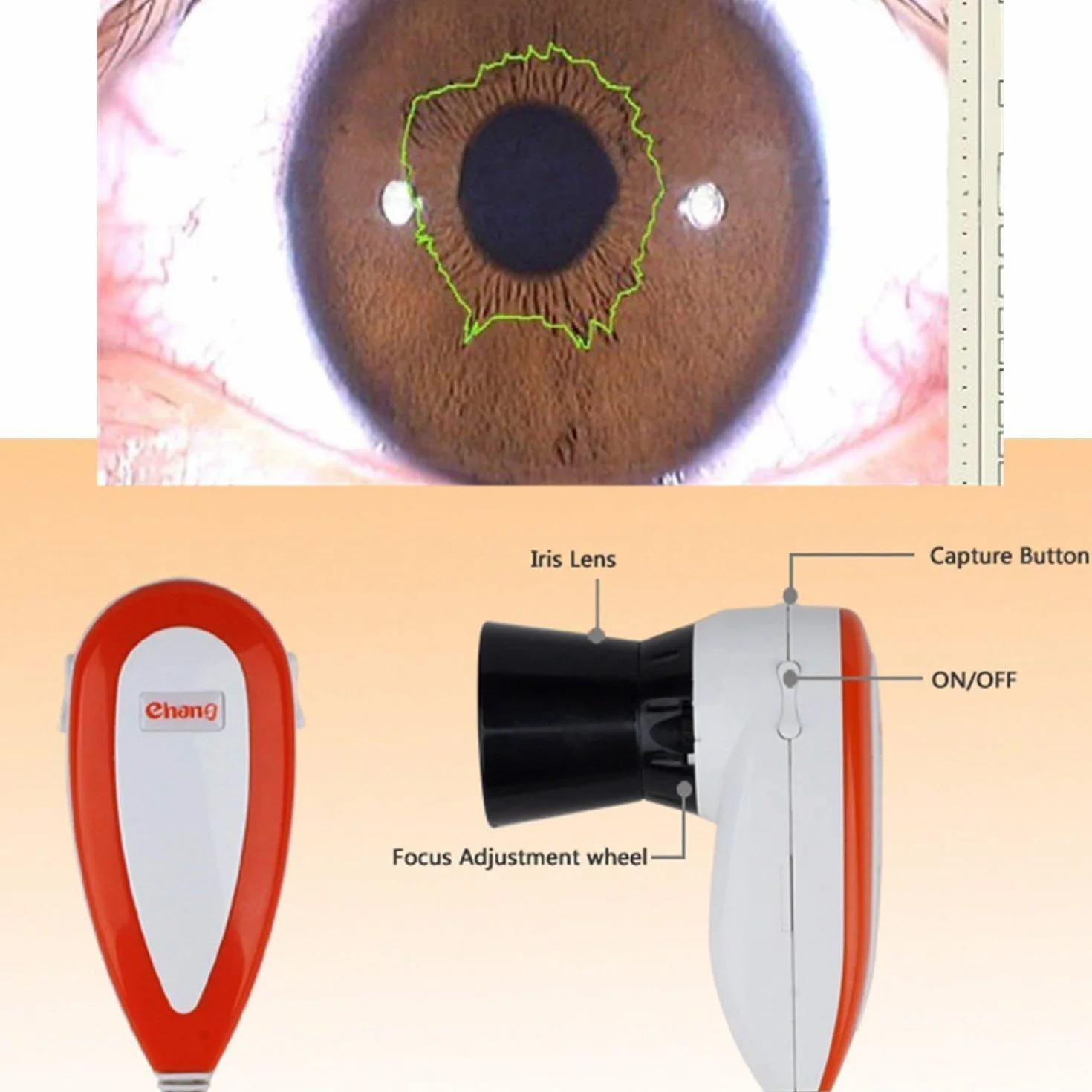Home Care Wholesale 5.0 MP CCD ad Alta Risoluzione USB Iriscope Eye Camera Iriscope con 30x Iris Lens e Software di Analisi