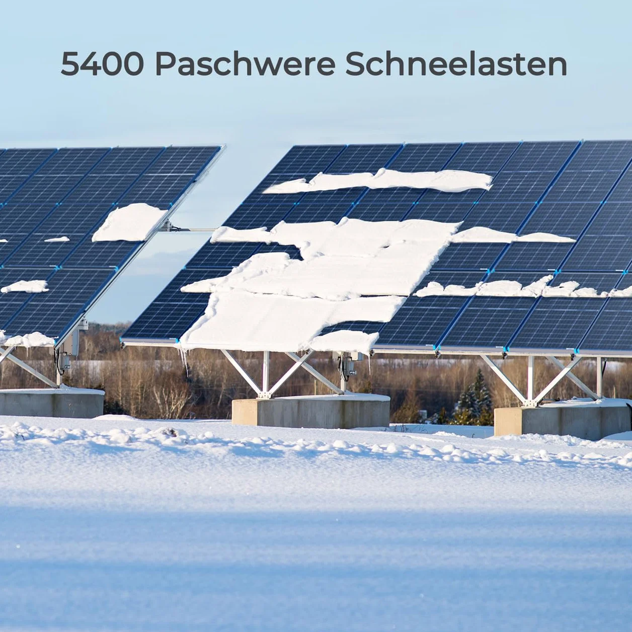 Renogy Pannello solare bifacciale monocristallino, 115 W, 12 V, modulo solare ad alte prestazioni per batterie da 12 V, camper, casa, balcone, barche, tetti agricoli e applicazioni indipendenti dalla