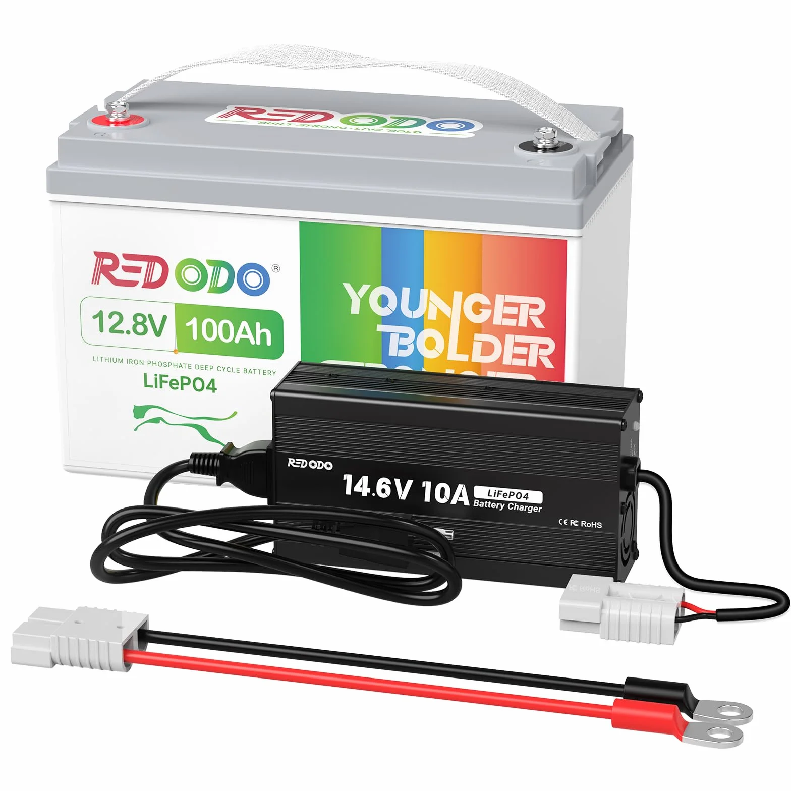 Redodo 12,8V 100Ah LiFePO4 Batteria con 14,6V 10A Caricabatterie Litio BMS 100A Integrato 10 Ore di Carica Rapida e Completa per RV Campeggio Casa Solare Marina Barca