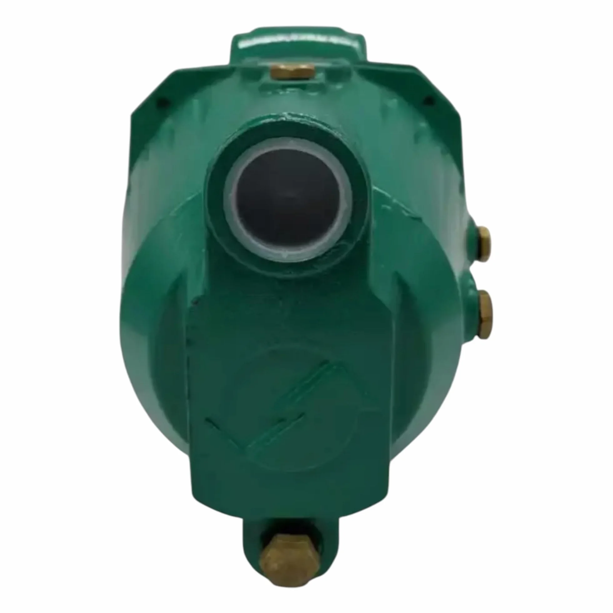 Pompa Autoclave JSWM2AX 1,5 kW Monofase 220V, Prevalenza 28-58 m, Portata 1-58 L/min, Autoadescante per Acqua Pulita, Uso Domestico, Irrigazione Giardini e Serbatoi