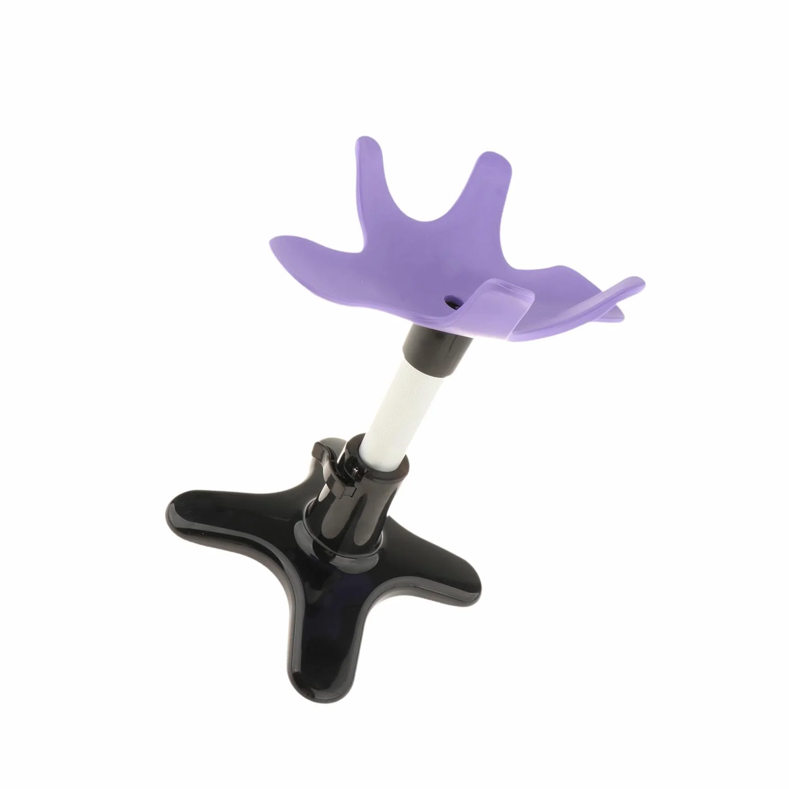 Baoblaze Supporto per toelettatura per Cani, Supporto per toelettatura assistito per Cani, Versatile, Professionale, per Animali Domestici, per la toelettatura, Viola