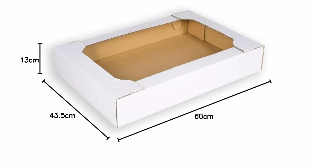 Mottola Vassoi contenitivi 60x43,5x13H 54 unità