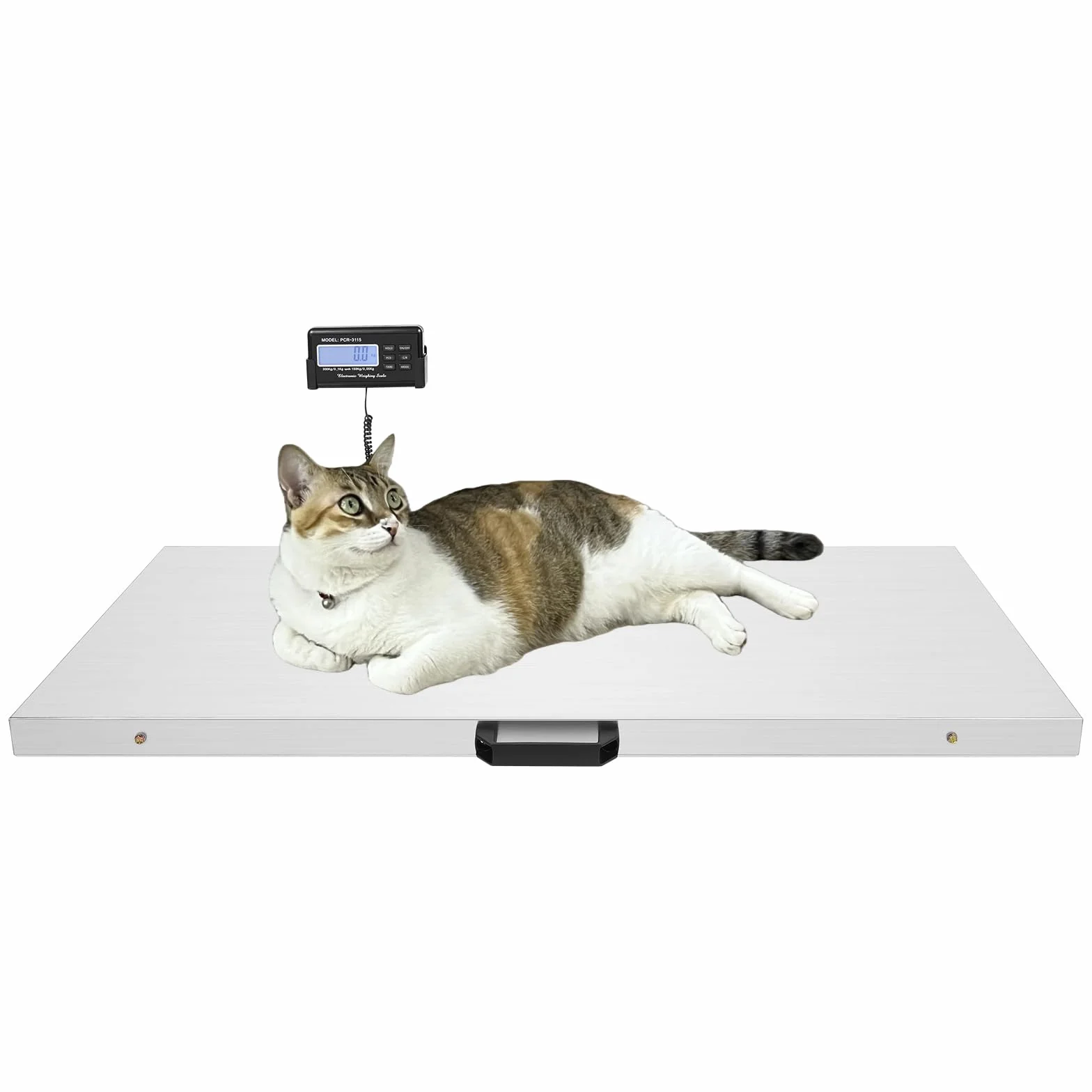 Bilancia Digitale Professionale per Animali Fino a 300 kg - per Cani, Gatti e Carichi Pesanti - Grande Veterinaria in Acciaio Inox