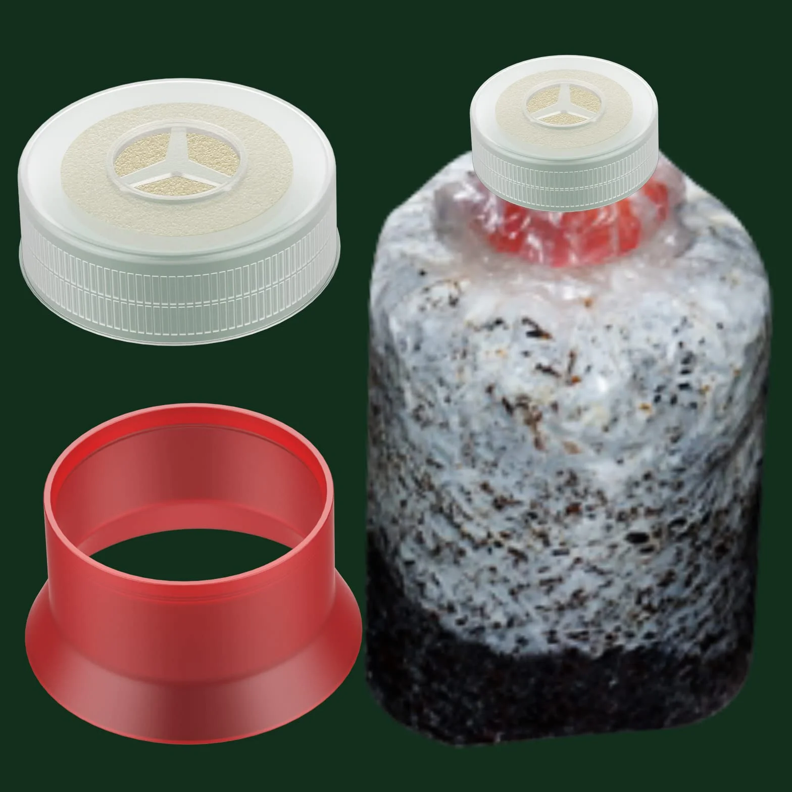 Biomed Solutions Tappo e anello per coltivazione funghi filtri cotone 40 mm confezione da 9