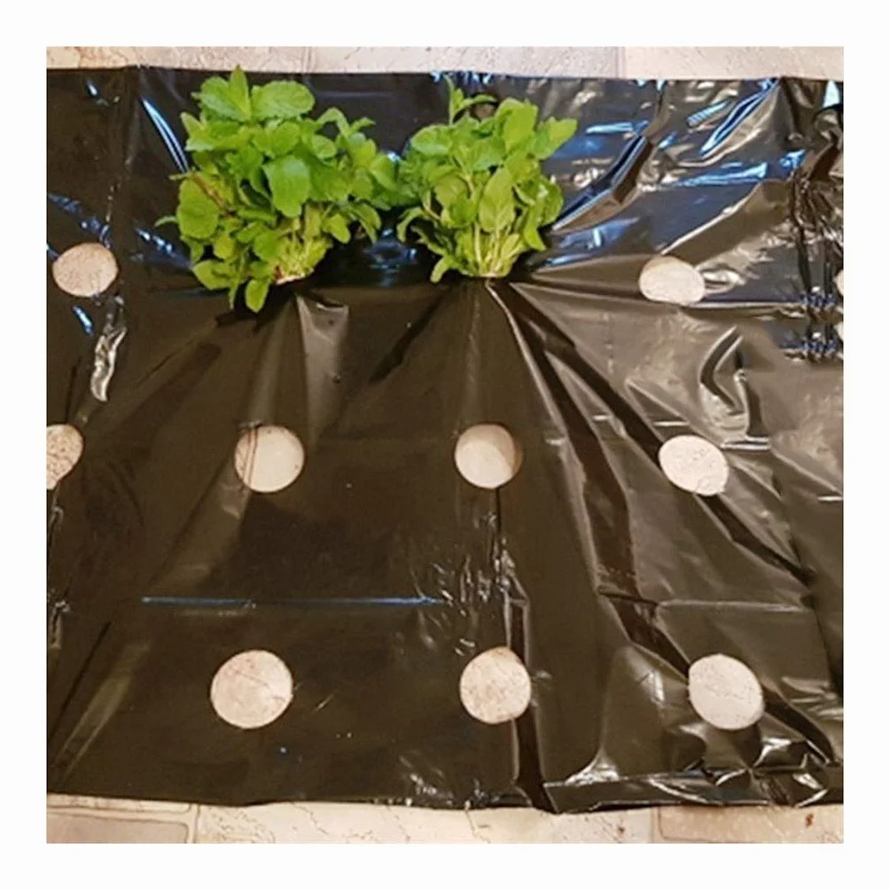 fogli di plastica per uso intensivo，， 5~50M 0,02 mm 5 fori Pellicola da giardino nera Pellicola for la crescita di piante di ortaggi di alta qualità(50 Meters)