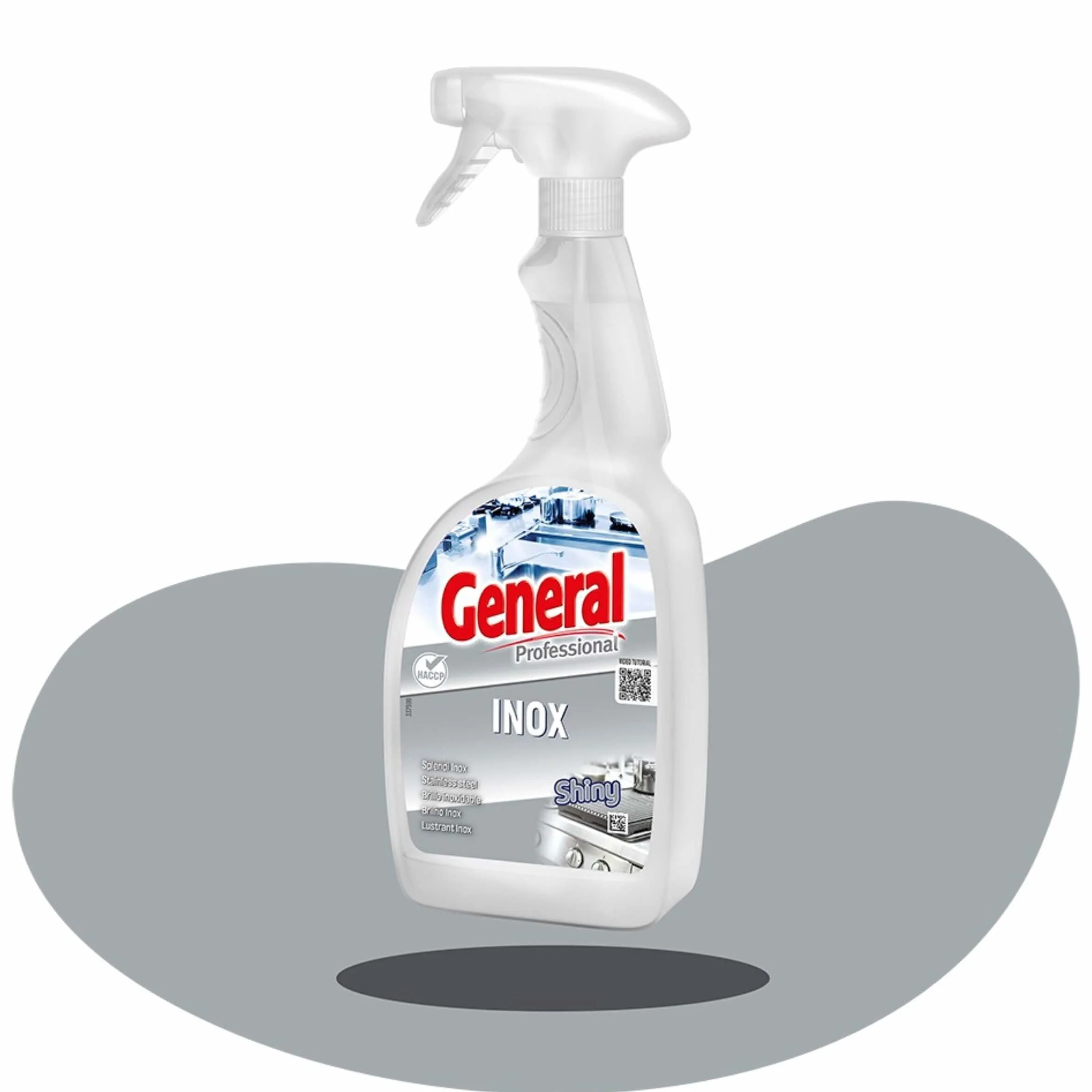 Inox Pulitore Rapido e Lucidante 750 ml - Effetto Brillante senza Aloni - Ideale per Acciaio, Ghisa e Ottone - Uso Professionale HACCP - Flacone Spray