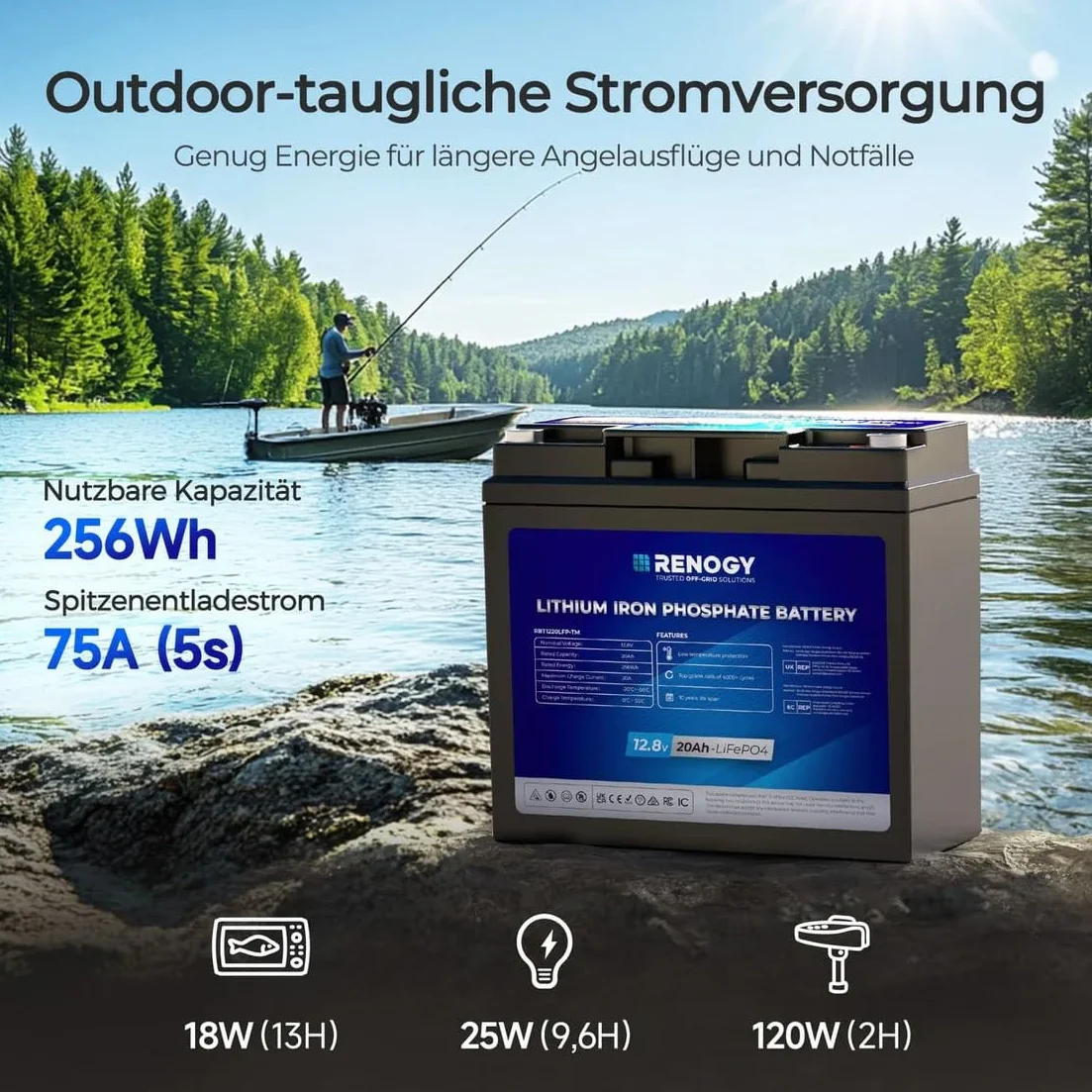Renogy Batteria al litio LiFePO4 da 12 V, 20 Ah, con protezione BMS, 4000 cicli, batteria solare da 12 V, 20 Ah, per motore da traino, cabine, camper, IP65
