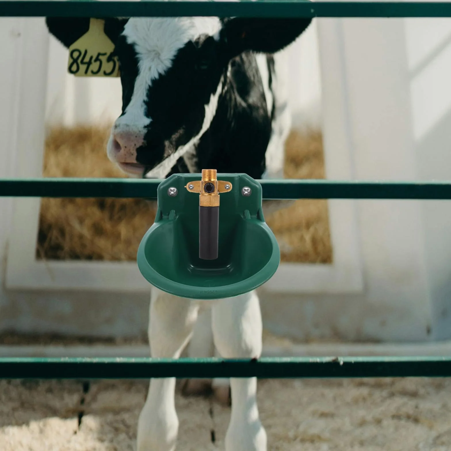 Levemolo Valvola Automatica per Abbeveratoio Bestiame Raccordo Erogatore Acqua, Ricambio per Ciotole per Bovini, Suini e Ovini in Impieghi Gravosi