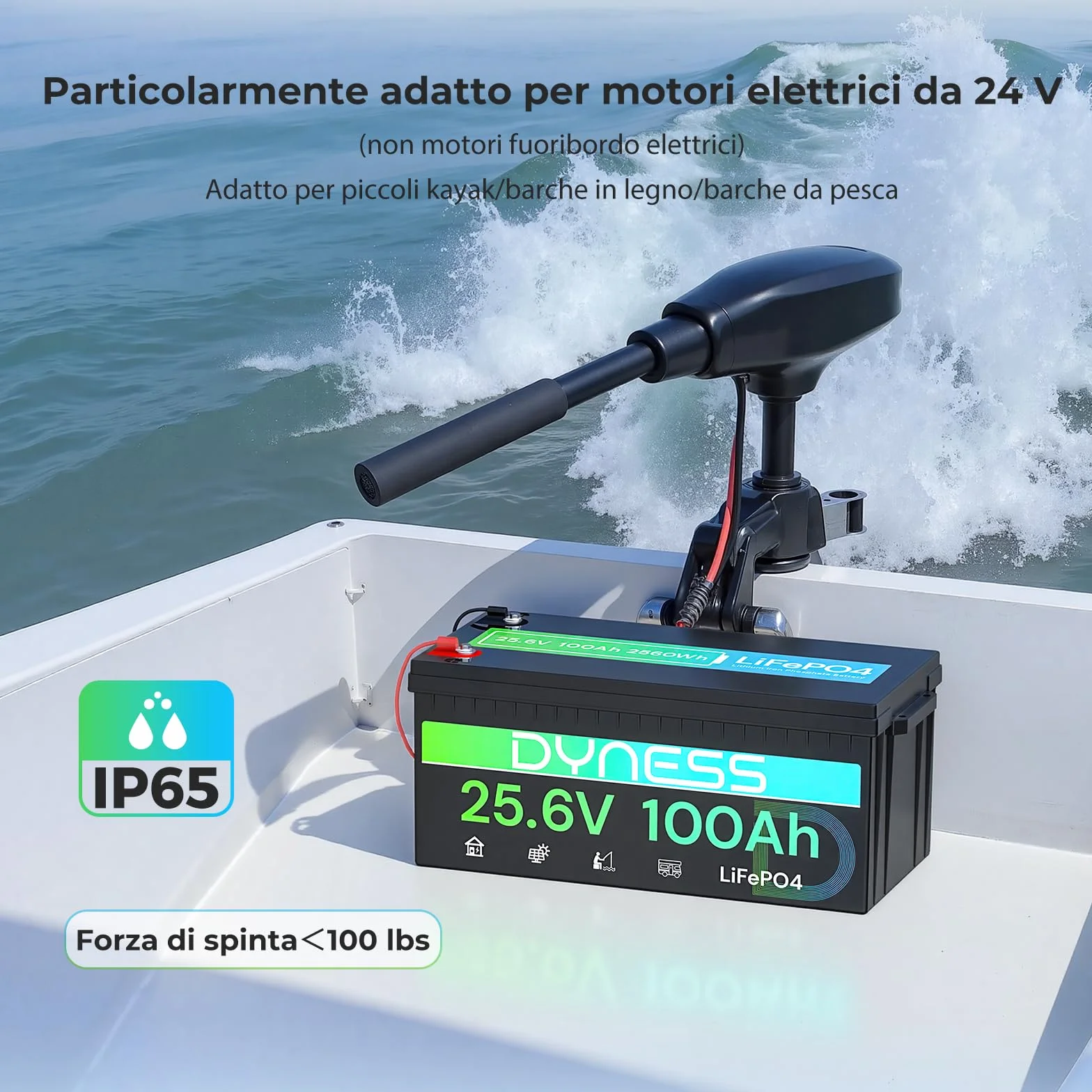 Dyness Batteria Litio LiFePO4 24V 100Ah con 100A BMS e Protezione Bassa Temperatura, Batteria 24V per Fotovoltaico Accumulo, Barche da Pesca Bass, Sistemi di Energia Rinnovabile, Camper (RV), Off-Grid