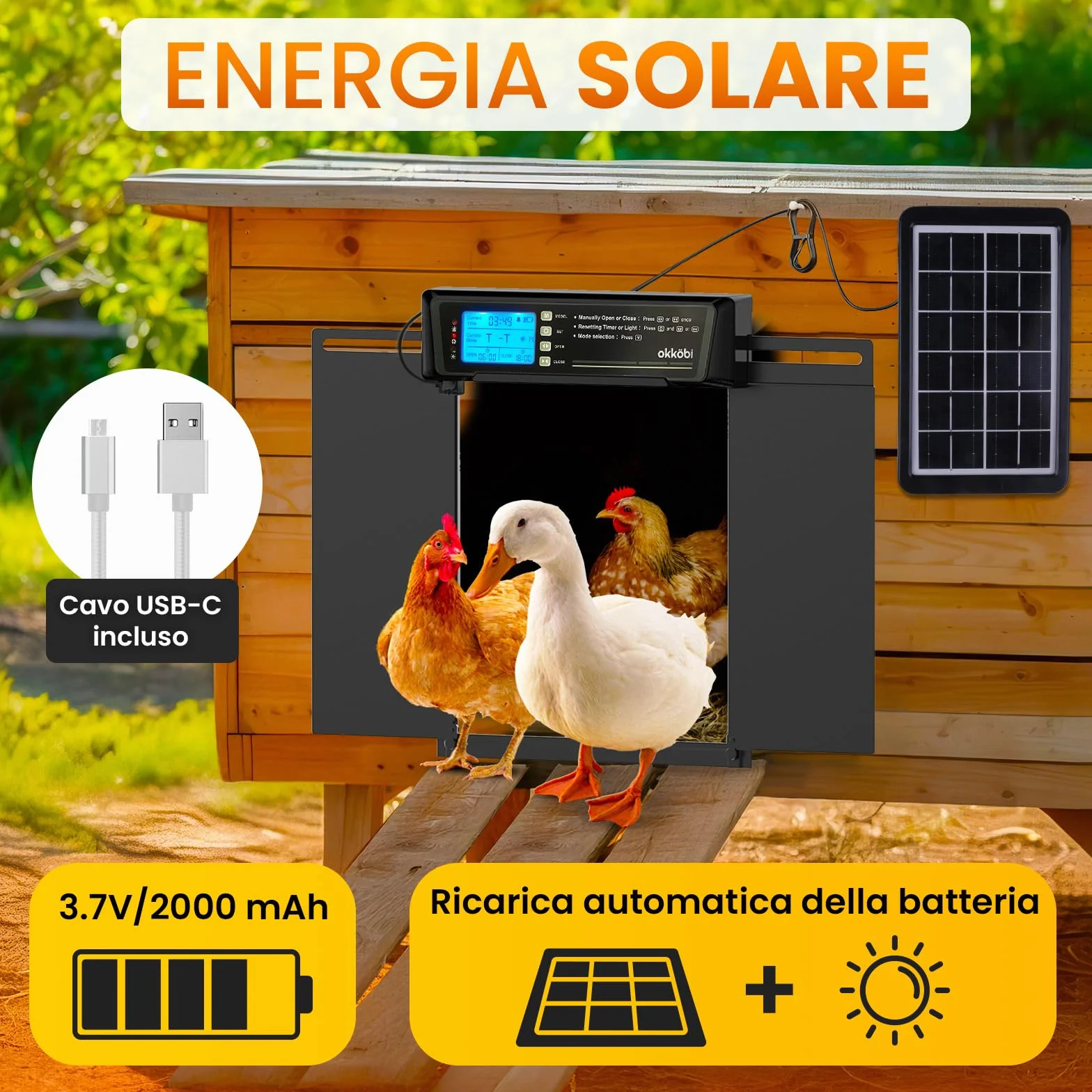 Porta Automatica Pollaio Extra Large Solare – Display LCD, Telecomando, Sensore di Luce, Timer & Funzione Antipizzicamento – Apertura 28,7 x 22,1 cm – Protezione 5 Anni – Nero - Okköbi