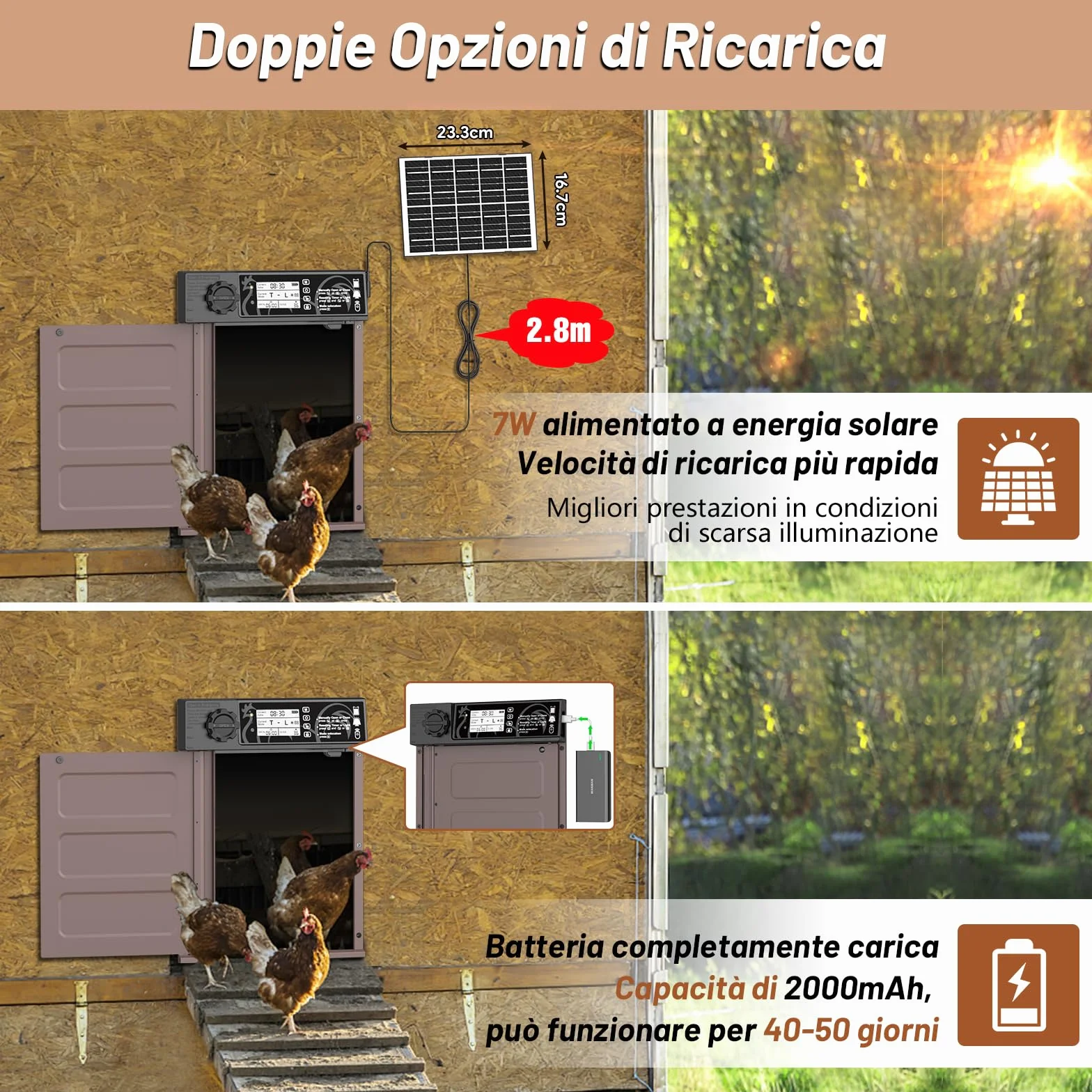Porta pollaio Automatico con Display, Timer, Antipizzicamento, Impermeabile