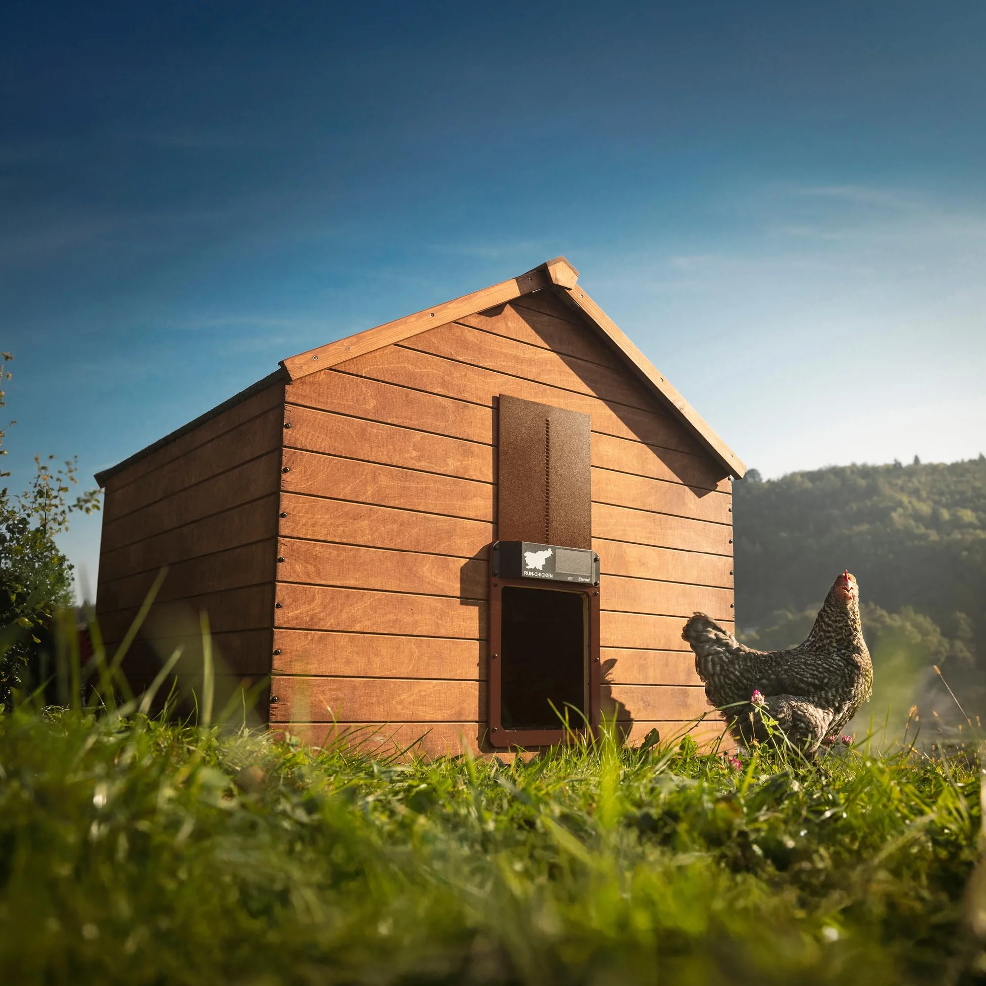 RUN-CHICKEN Porta (marrone) Solar Chicken Coop Door, automatico pollaio elettrico con timer, sensore luce, batteria, energia solare