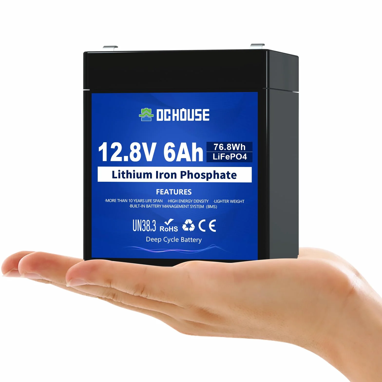 DCHOUSE Batteria Litio 12V 6Ah Mini, Max.15000 Cicli e Con Protezione BMS, Ricaricabile Batteria LiFePo4 12V Per UPS, Ecoscandaglio, Passeggino, Pannello Solare, Campeggio, Impianto Solare, Camper
