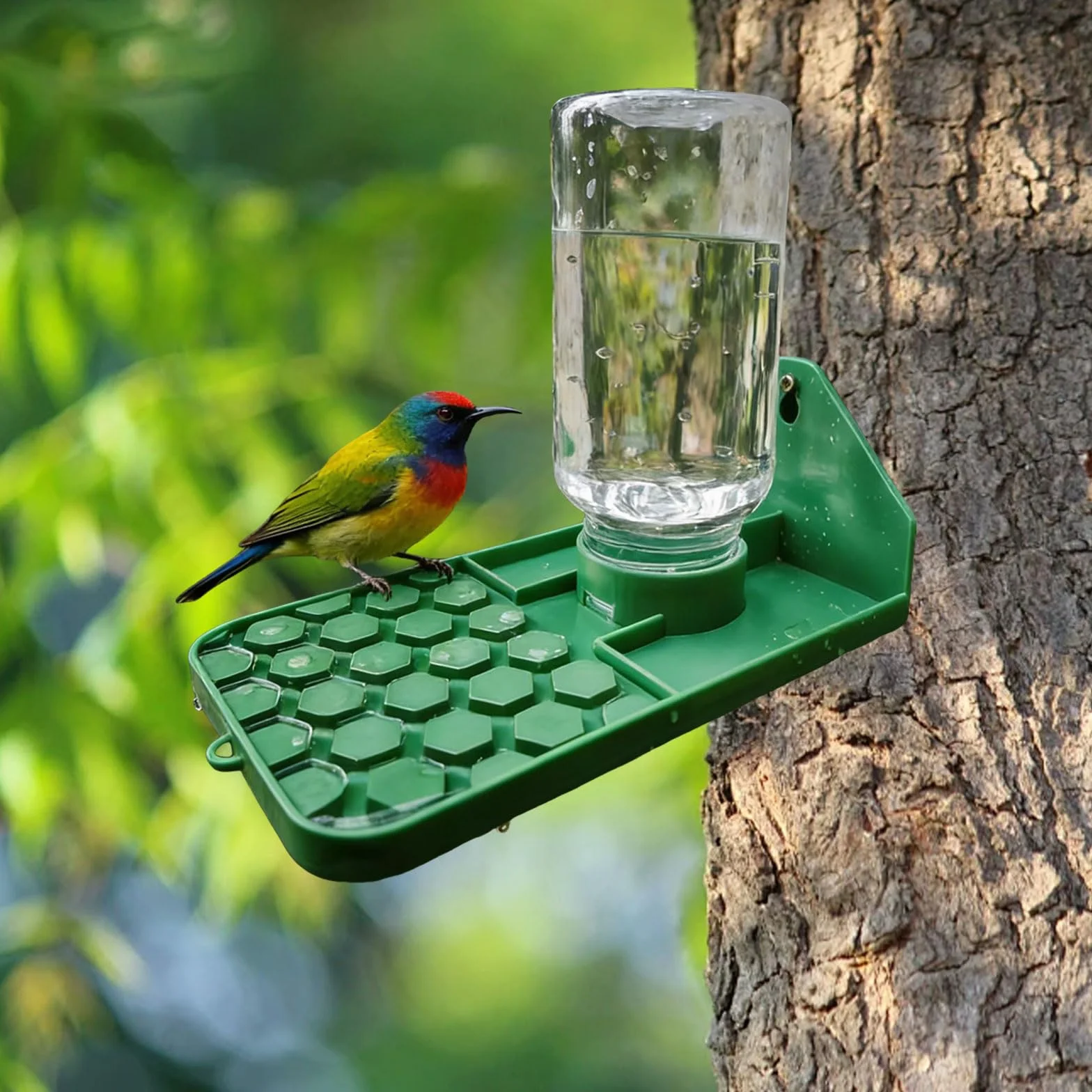 2/4 distributori di acqua per api, montaggio a parete o albero, abbeveratoio per api, farfalle, colibrì e insetti (1)