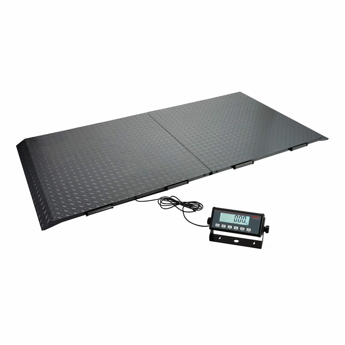 SOEHNLE PROFESSIONAL Bilancia drive-through scale/Bilancia a pavimento/Bilancia per animali e bovini/Bilancia a piattaforma XL 6958 Max. 1500kg - 500g