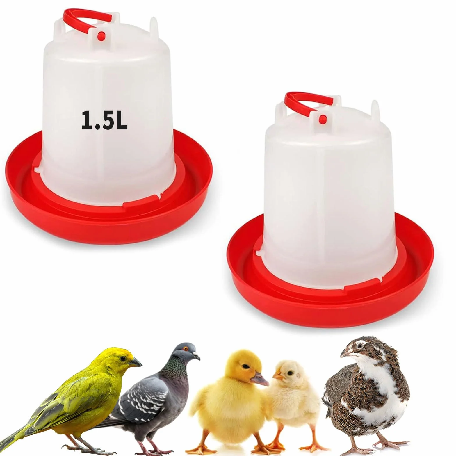Set di 2 abbeveratoi per pulcini da 1,5 l con manico, per pulcini, anatre, tacchini e piccoli uccelli da fattoria, dispenser d'acqua in plastica per Coop