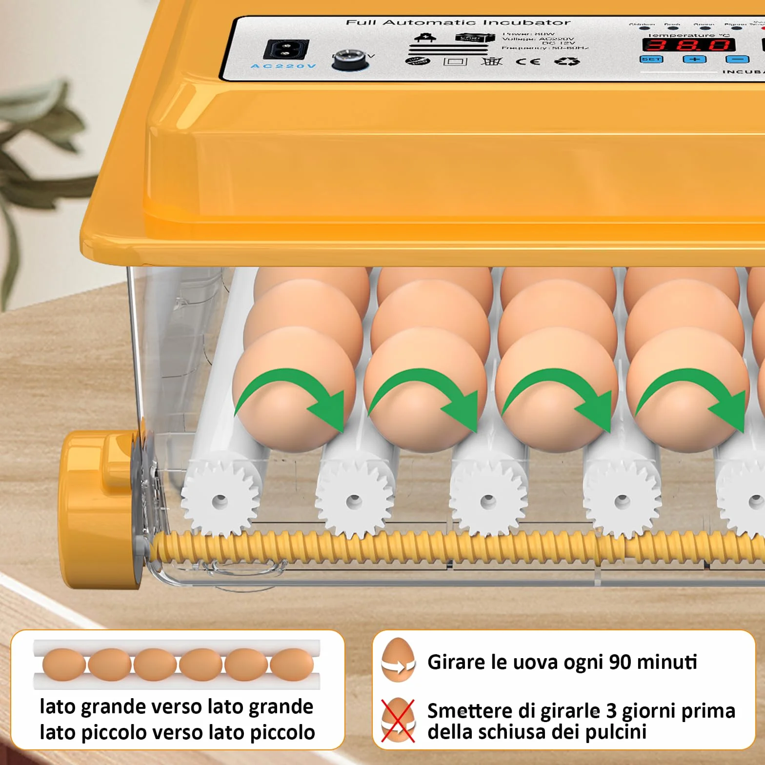 Incubatrice per Uova Automatica, Incubatrice per 36 Uova Gallina con Controllo Temperatura, 5 Modalità di Incubazione Automatica, Display Umidità, Riempimento Automatico dell'acqua e Girando
