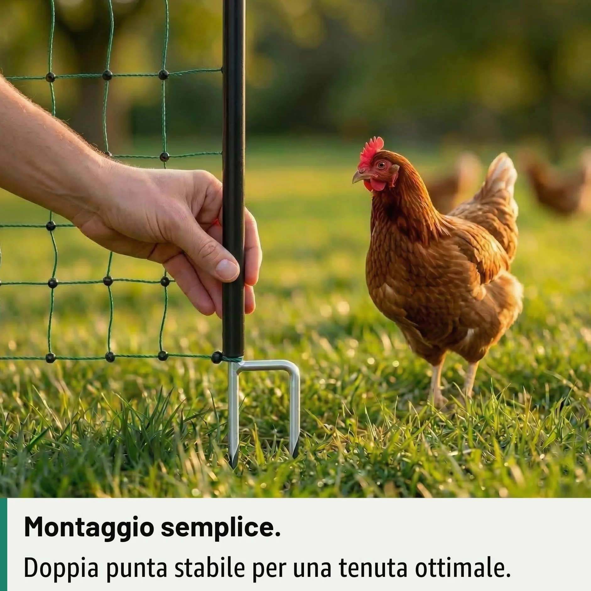 Agrarzone Rete per pollame Classic elettrificabile, Doppia Punta, Verde 50 m x 112 cm - Robusta per polli, Cani e Gatti - Facile da installare con 15 Pali e Kit di Riparazione