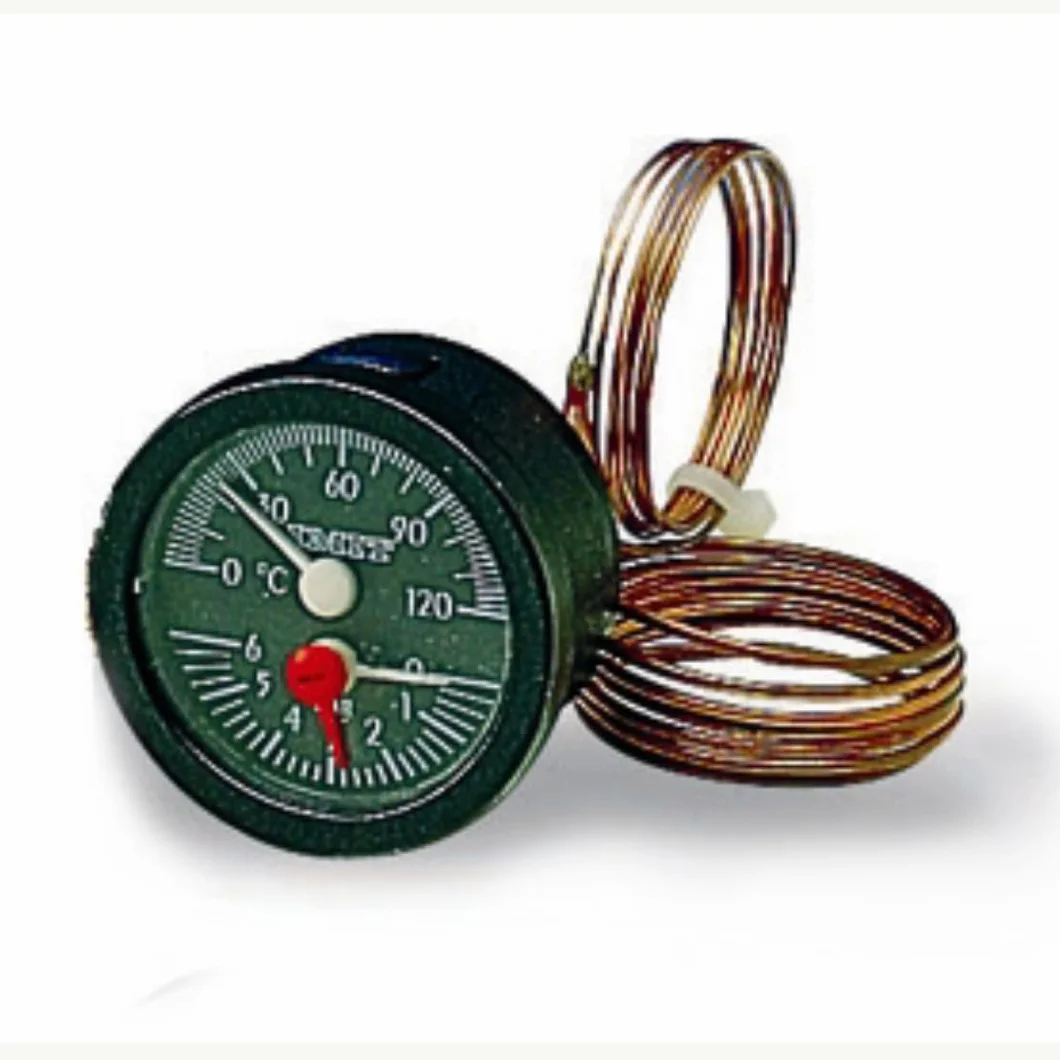 Manometro termico, diametro 52 mm, 0-6 bar, 0,+120 °C.