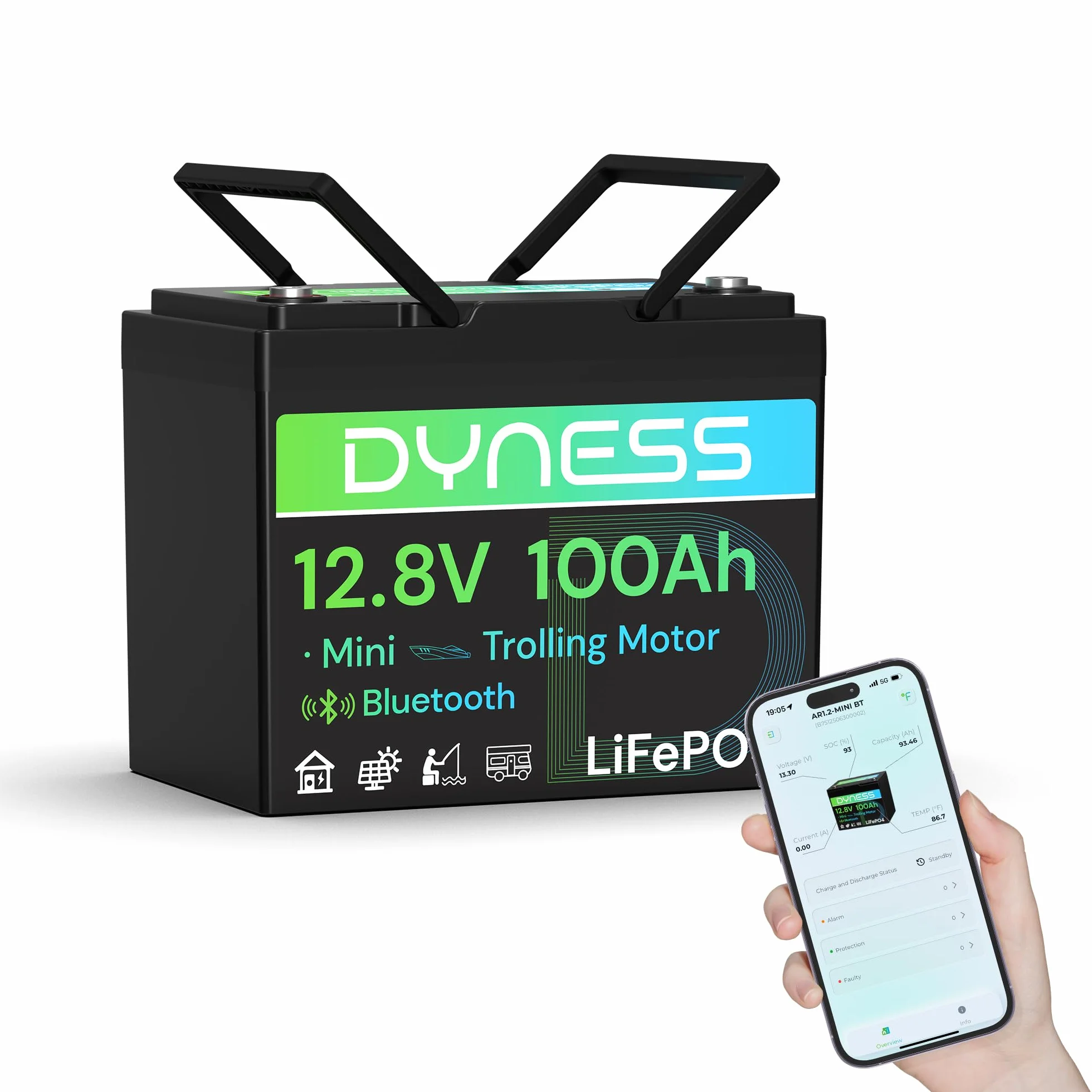 Dyness Batteria LiFePO4 12V 100Ah Bluetooth, Mini Batteria al Litio con BMS 100A, Protezione a Basse Temperature, per Nautica, Camper, Impianti Solari off-grid
