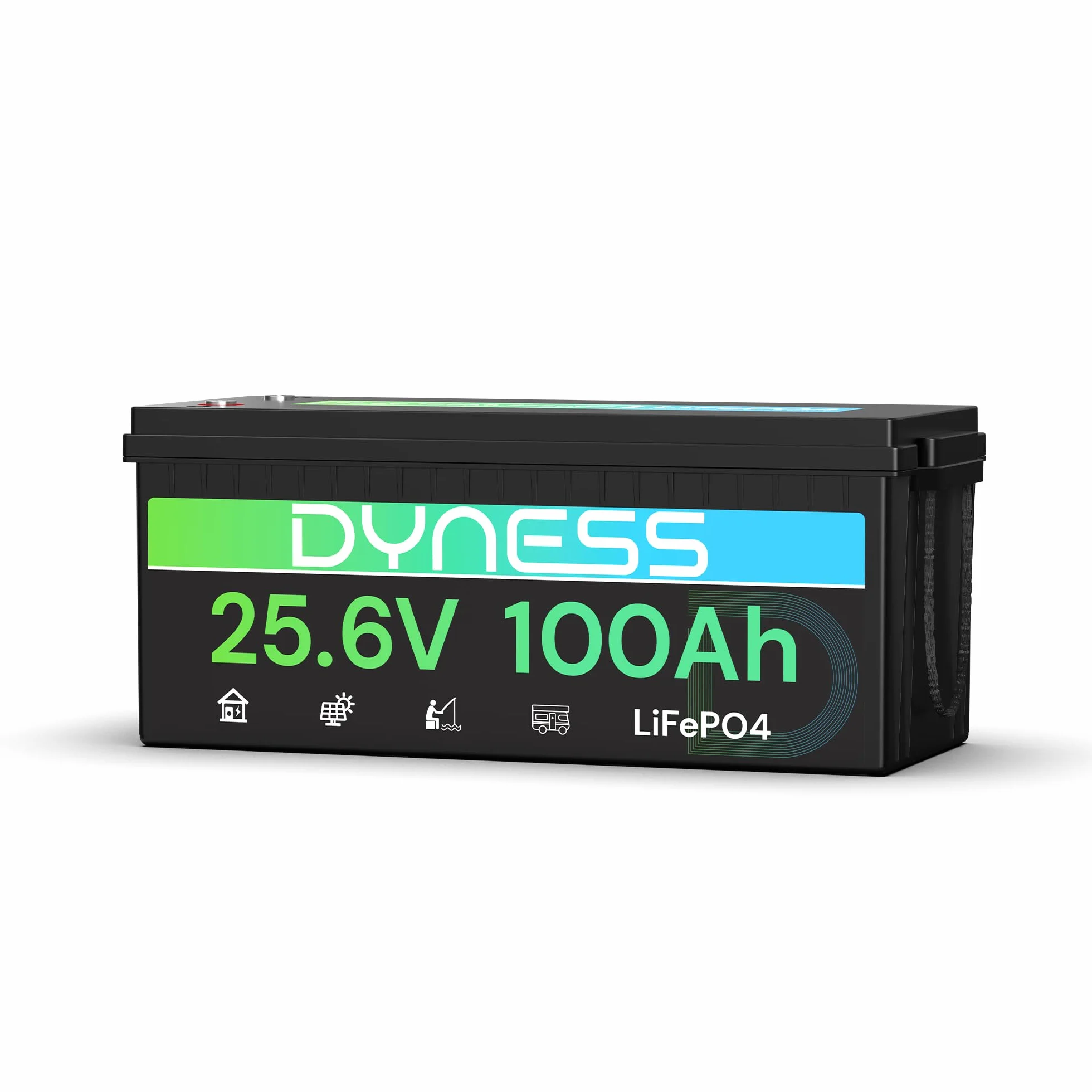 Dyness Batteria Litio LiFePO4 24V 100Ah con 100A BMS e Protezione Bassa Temperatura, Batteria 24V per Fotovoltaico Accumulo, Barche da Pesca Bass, Sistemi di Energia Rinnovabile, Camper (RV), Off-Grid